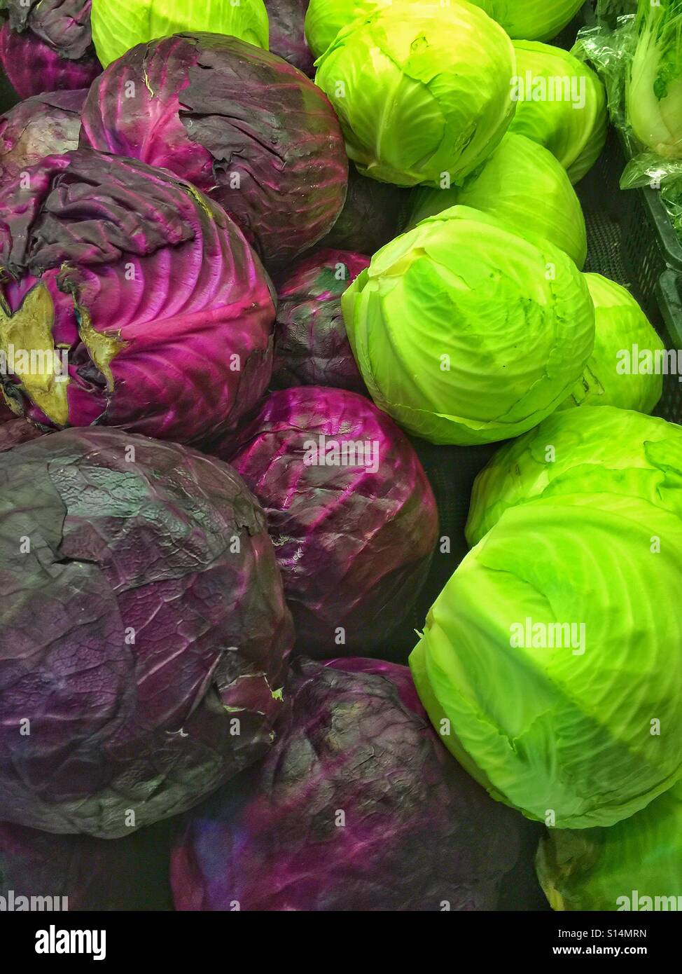 Viola e verde cavoli cappucci - Immagine stock catturata con smartphone