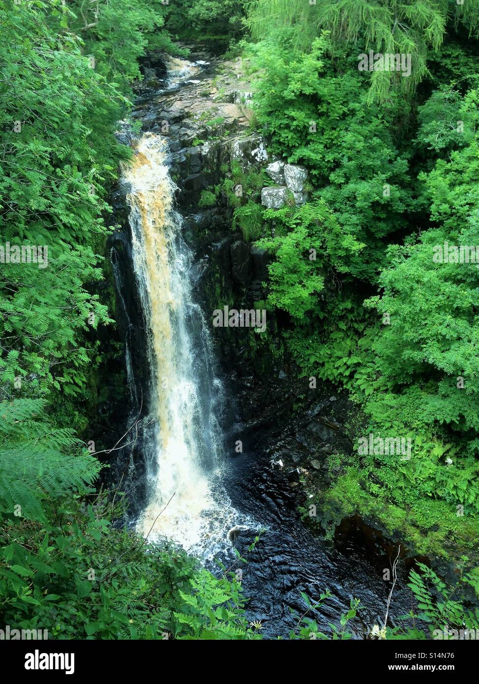 La cascata e giardini lussureggianti. Foto Stock