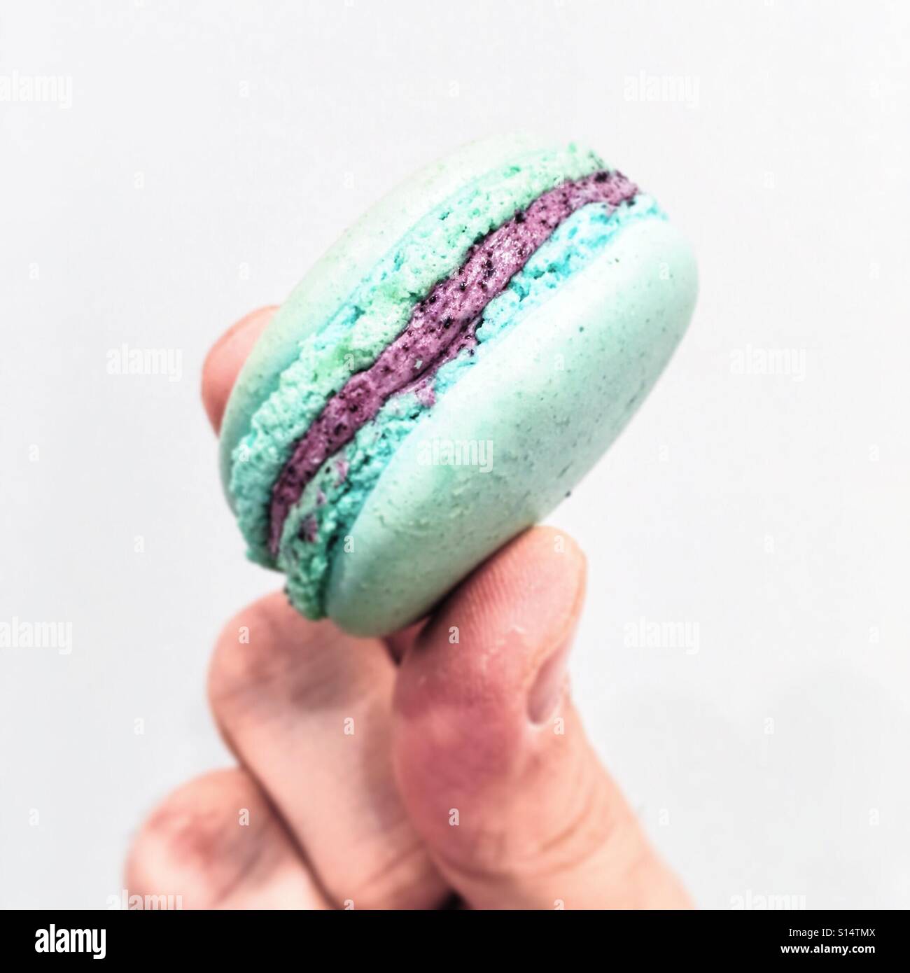 Mirtillo macaron Foto Stock