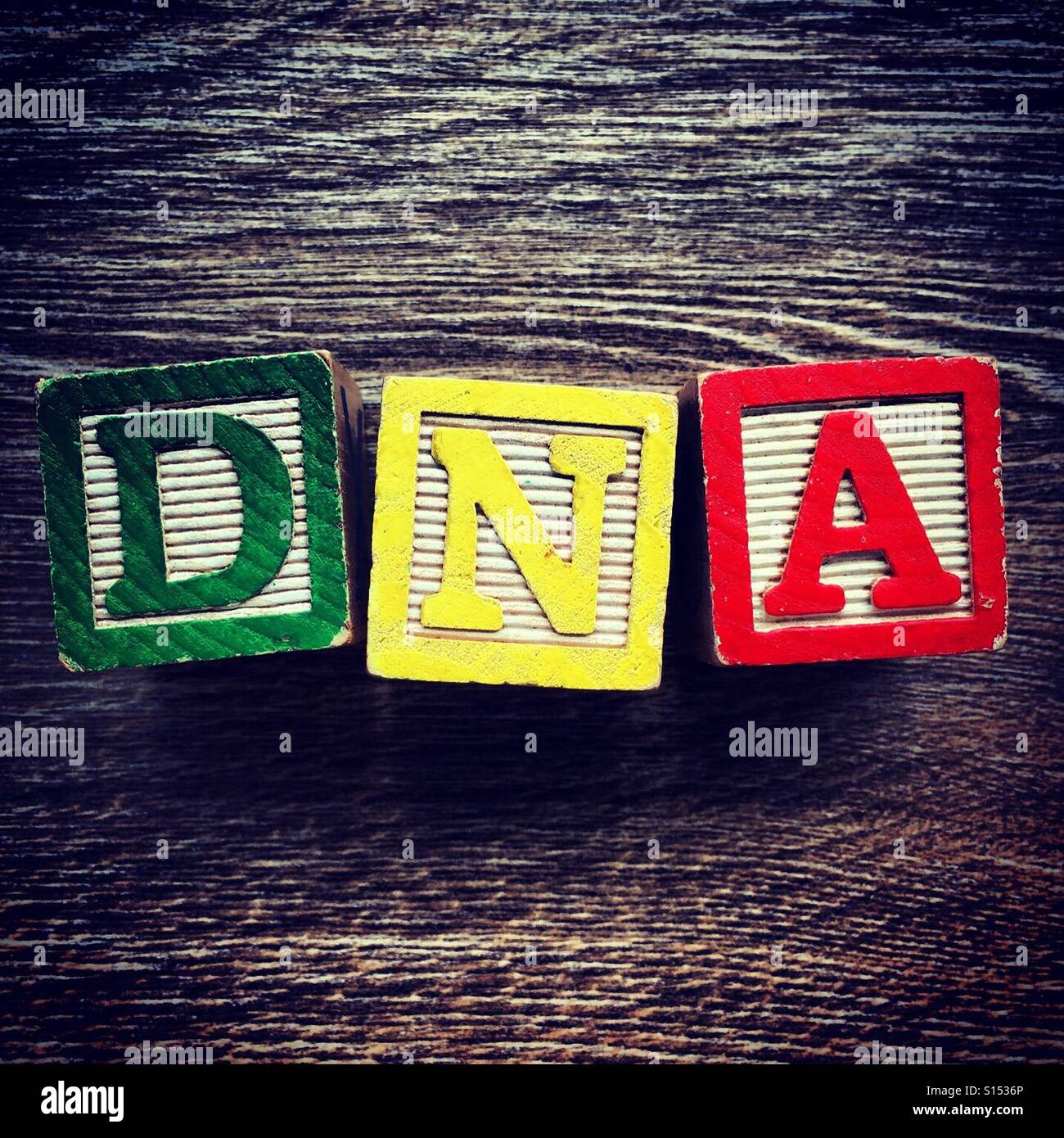 Abbreviazione di DNA scritto con alfabeto blocco di legno lettera dei giocattoli Foto Stock