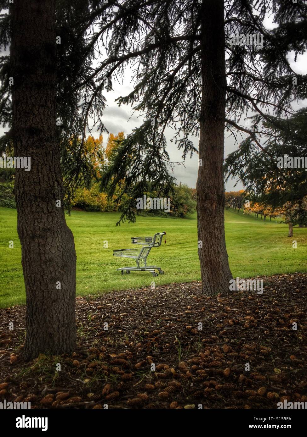 Un carrello di shopping si erge abbandonato in un parco. - Immagine stock catturata con smartphone
