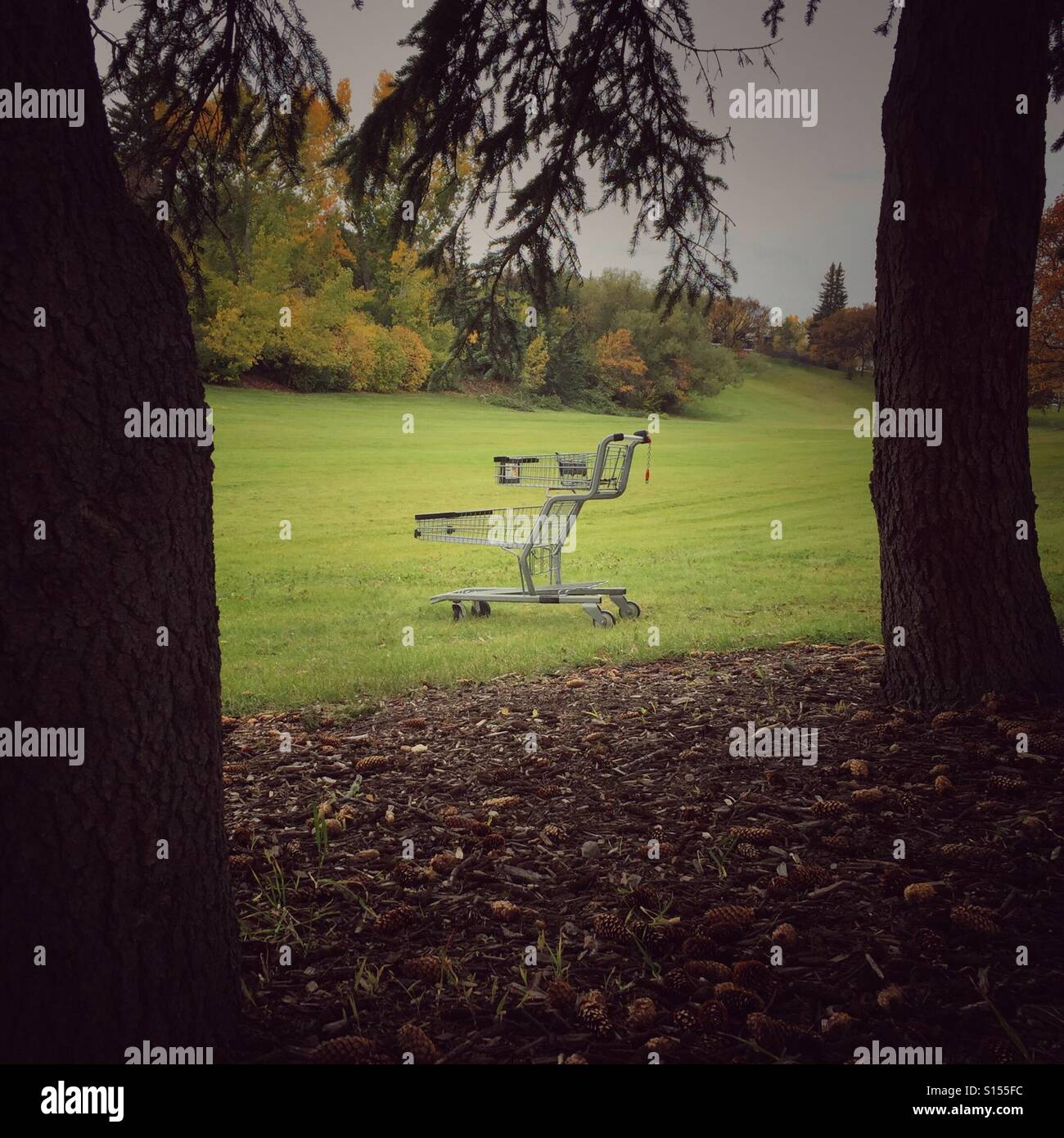 Un carrello di shopping si erge abbandonato in un parco. - Immagine stock catturata con smartphone