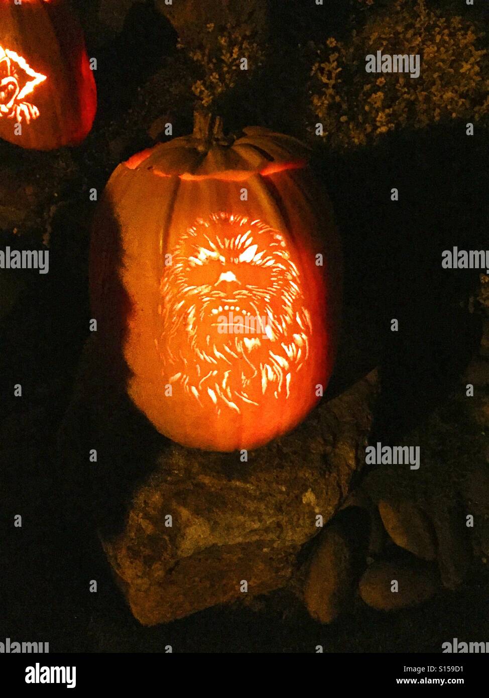 Jack-o-lantern di Chewbecca di Star Wars Foto Stock