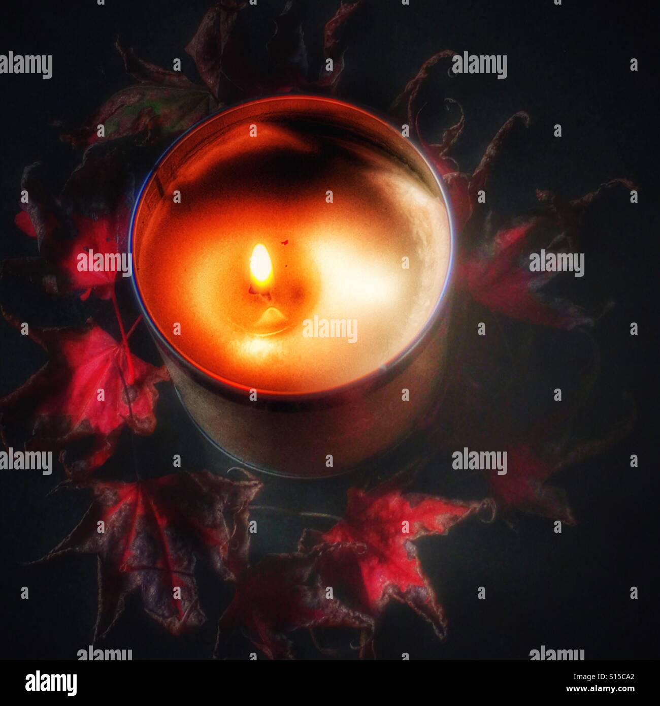 Candela in un stagno, circondato da foglie di autunno - Immagine stock catturata con smartphone