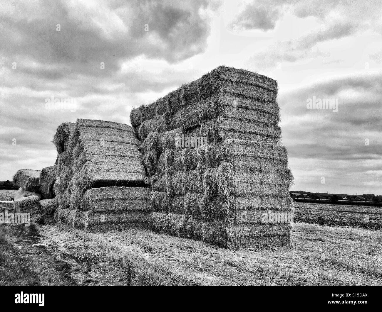 Appena le balle di paglia impilati in un campo, UK. Foto Stock