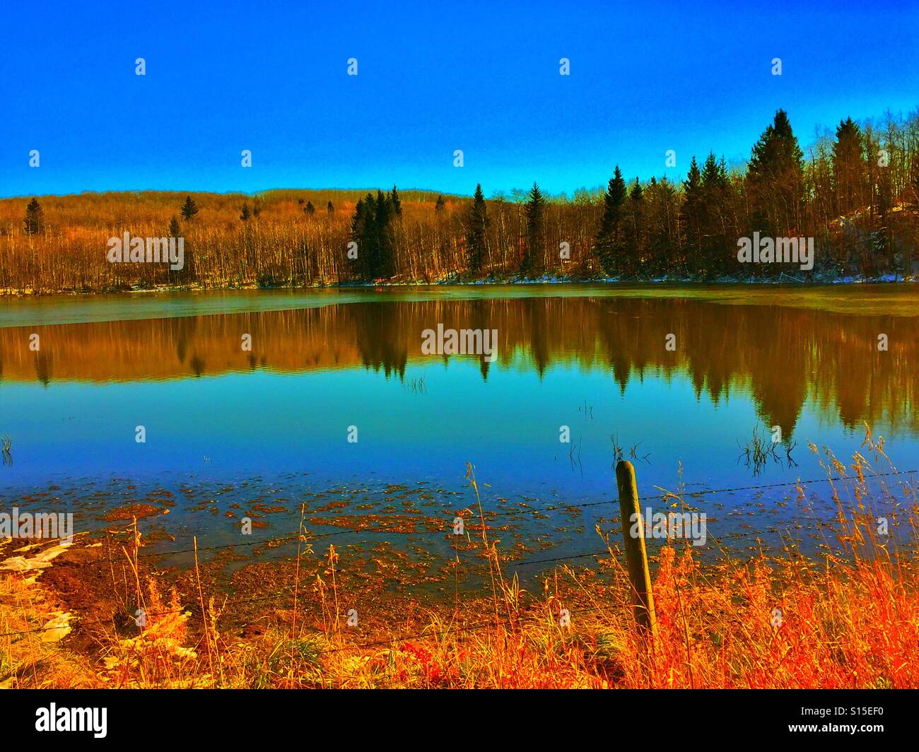 I colori autunnali si riflette in un piccolo lago ai piedi delle Montagne Rocciose - Immagine stock catturata con smartphone