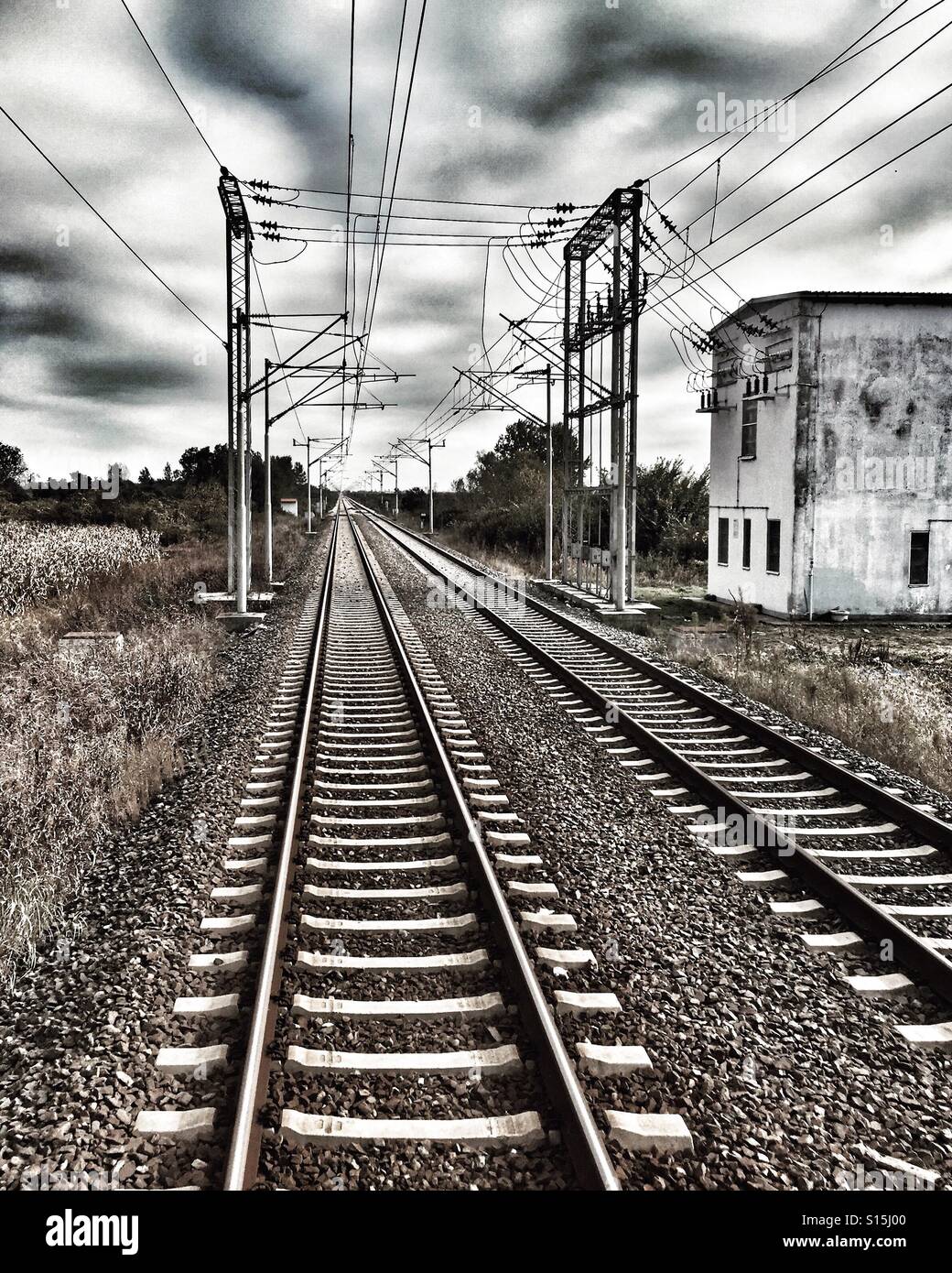 I binari ferroviari che si protende nella distanza - vicino alla frontiera Serbia-Croatia - Immagine stock catturata con smartphone