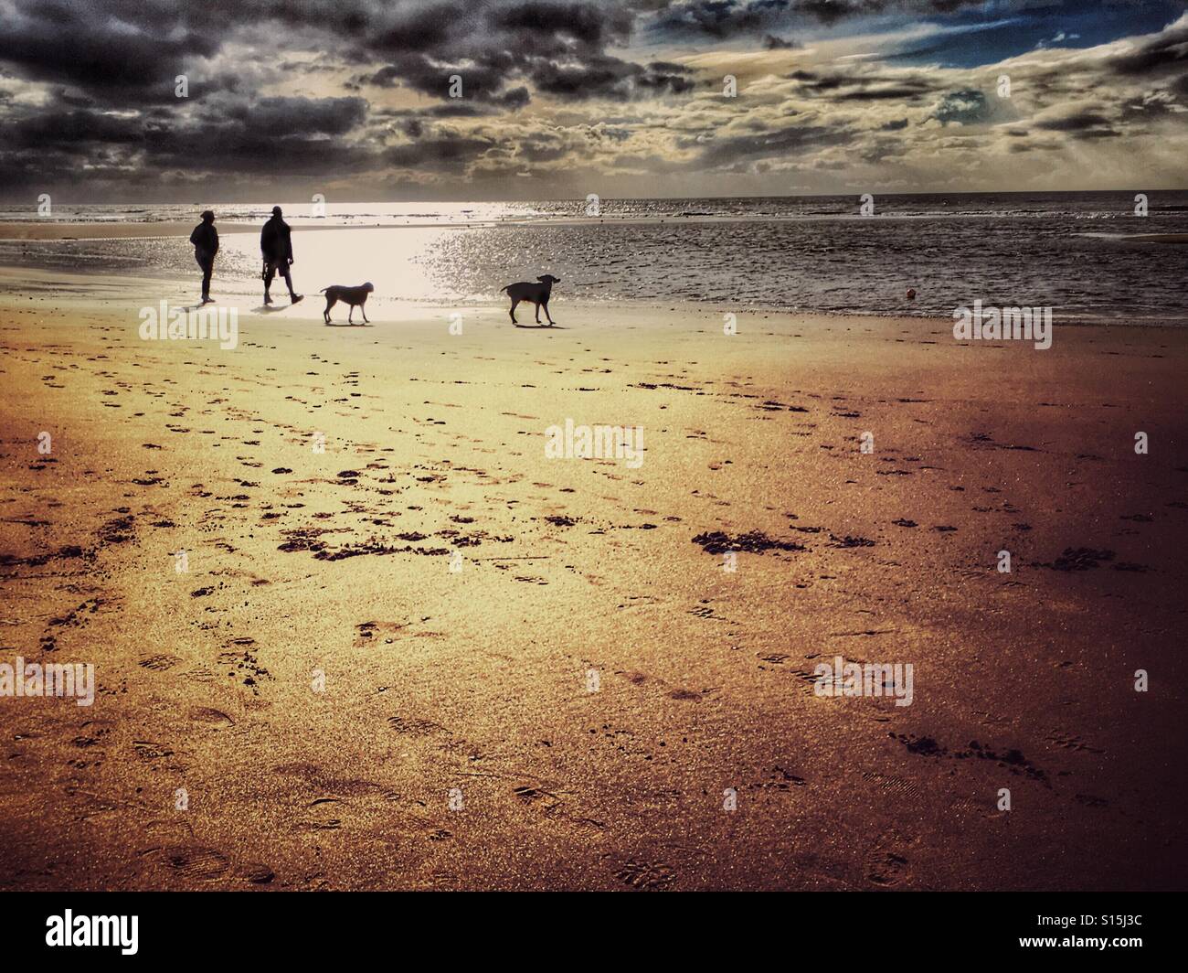 Due persone che camminano cani sulla spiaggia con la bassa marea Foto Stock