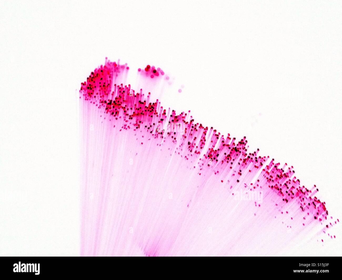 La sfocatura della fibra ottica luci - Immagine stock catturata con smartphone