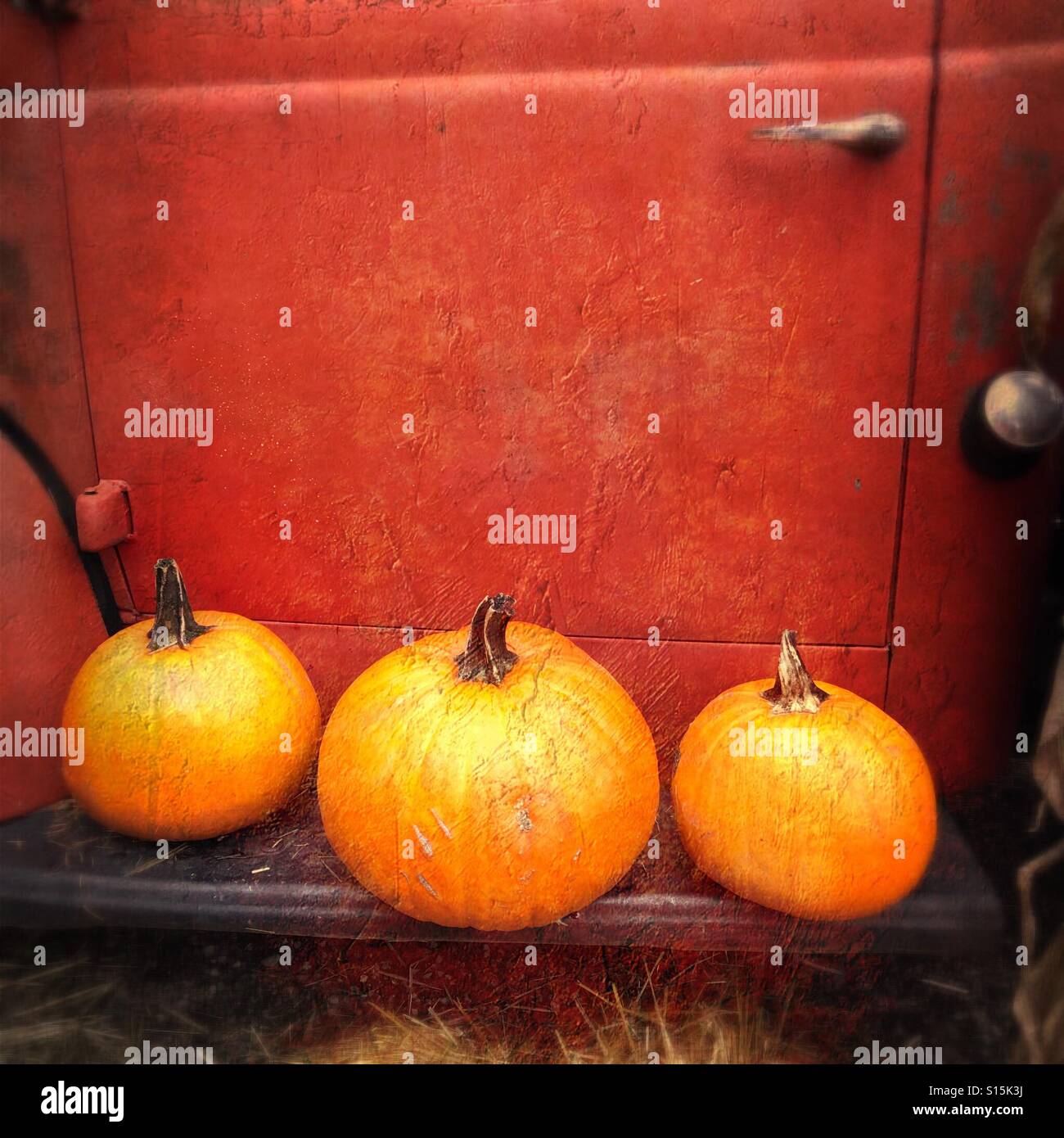 Tre le zucche su una fattoria a spiovente carrello. Foto Stock