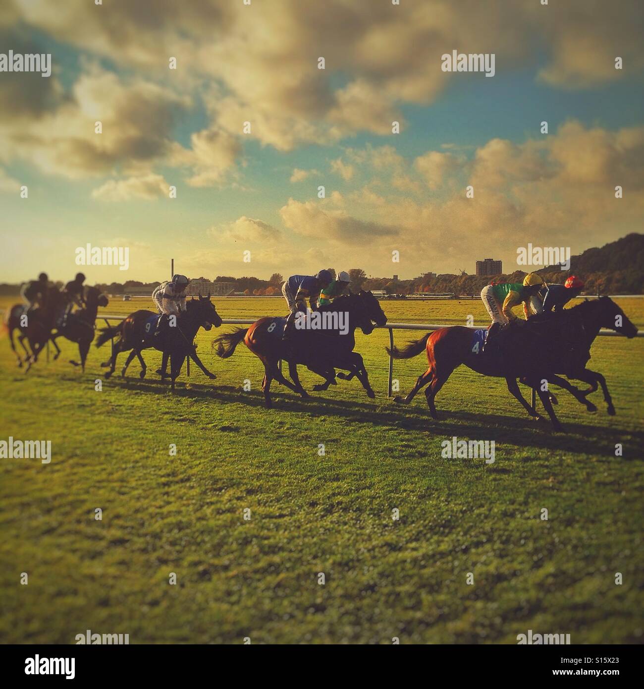 Corse di cavalli. - Immagine stock catturata con smartphone