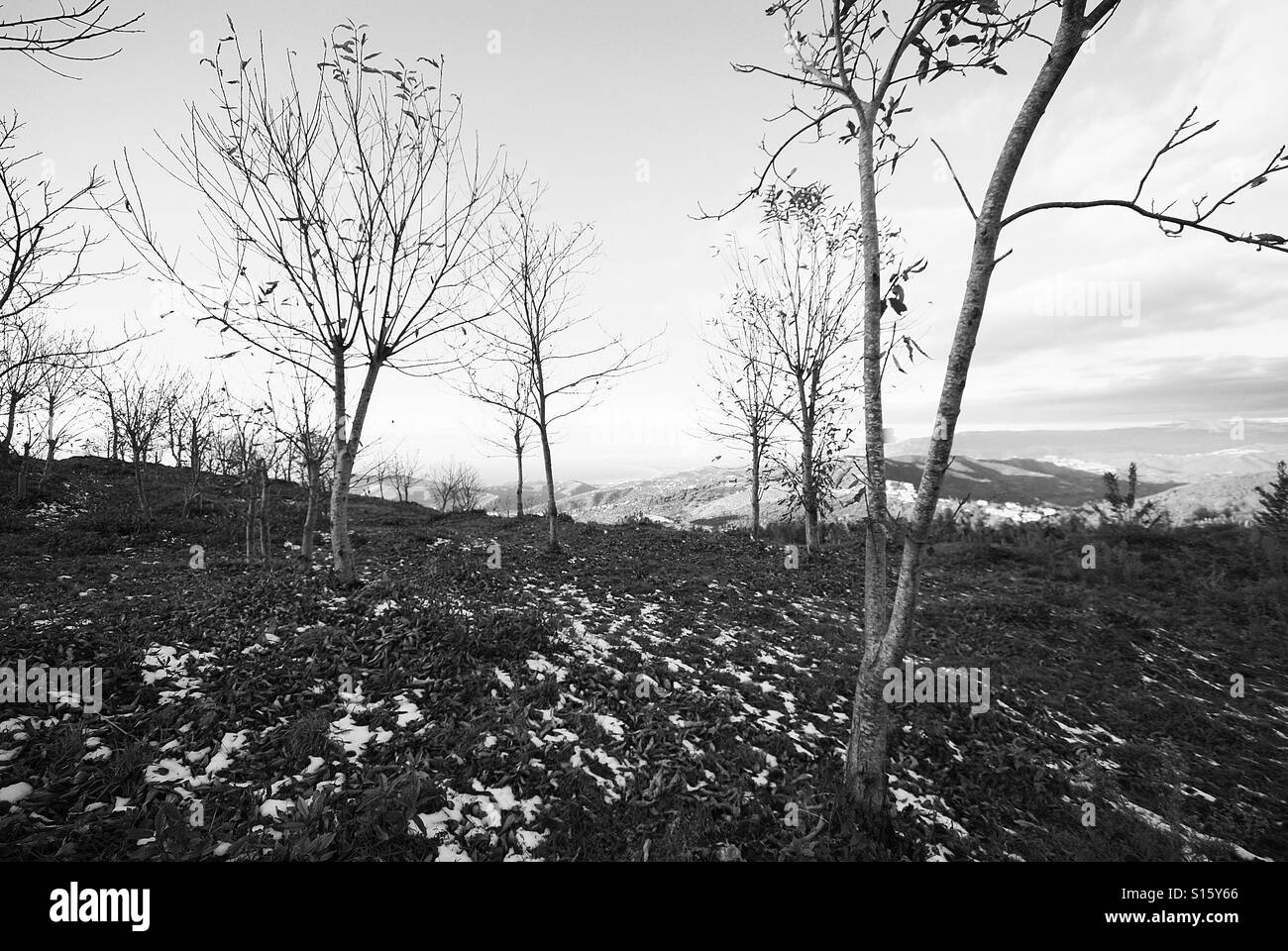 Winter fine Art Landscape – la bellezza silenziosa della campagna del Cilento - Immagine stock catturata con smartphone