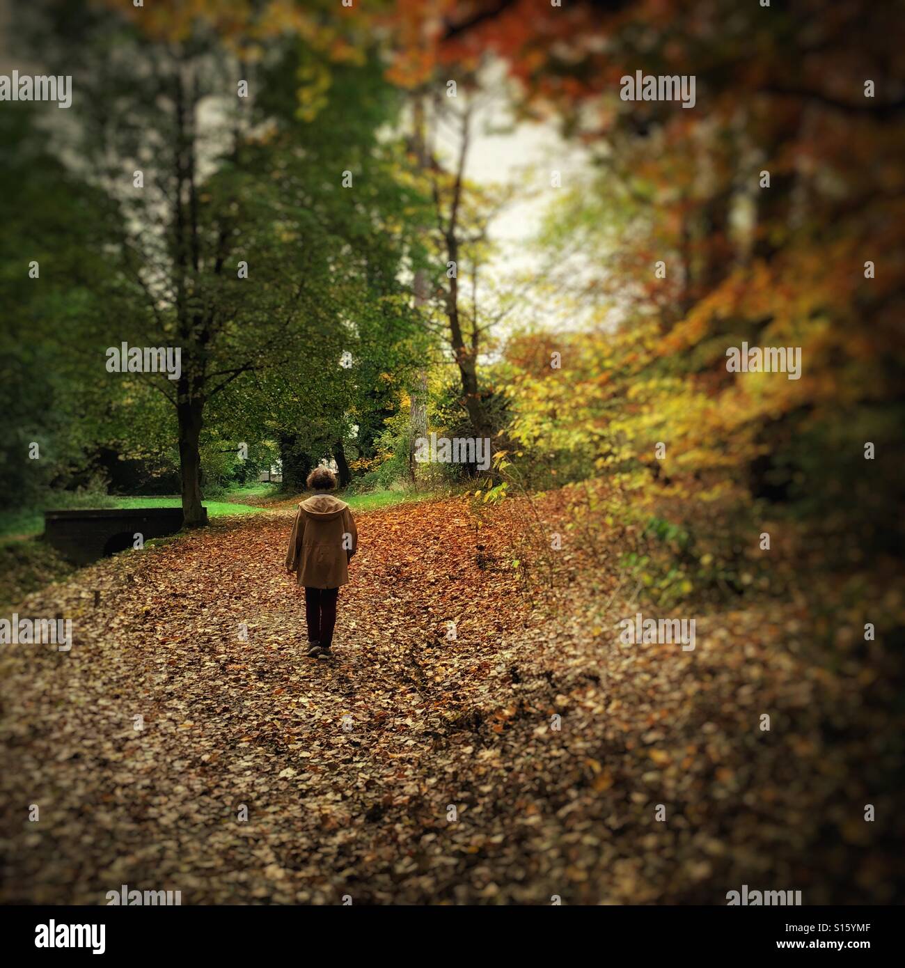 Passeggiata nel Parco di Stratford, Stroud, Gloucestershire, Inghilterra - Immagine stock catturata con smartphone