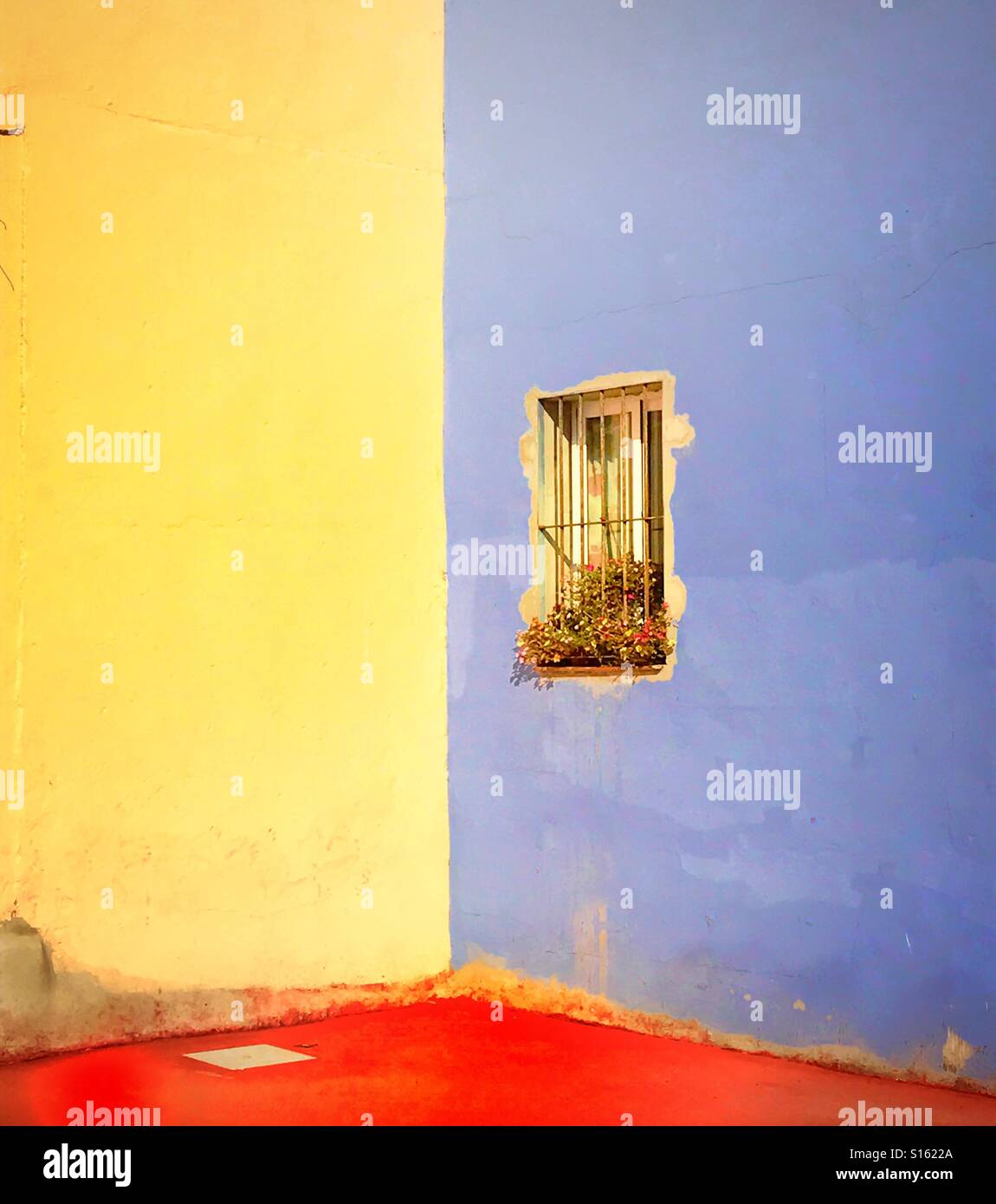 Finestra di metallo con barre di protezione e window box con fiori insieme in una luce blu la parete che si affacciano sul cortile con adiacente parete giallo e rosso pavimentazione piastrellata Foto Stock