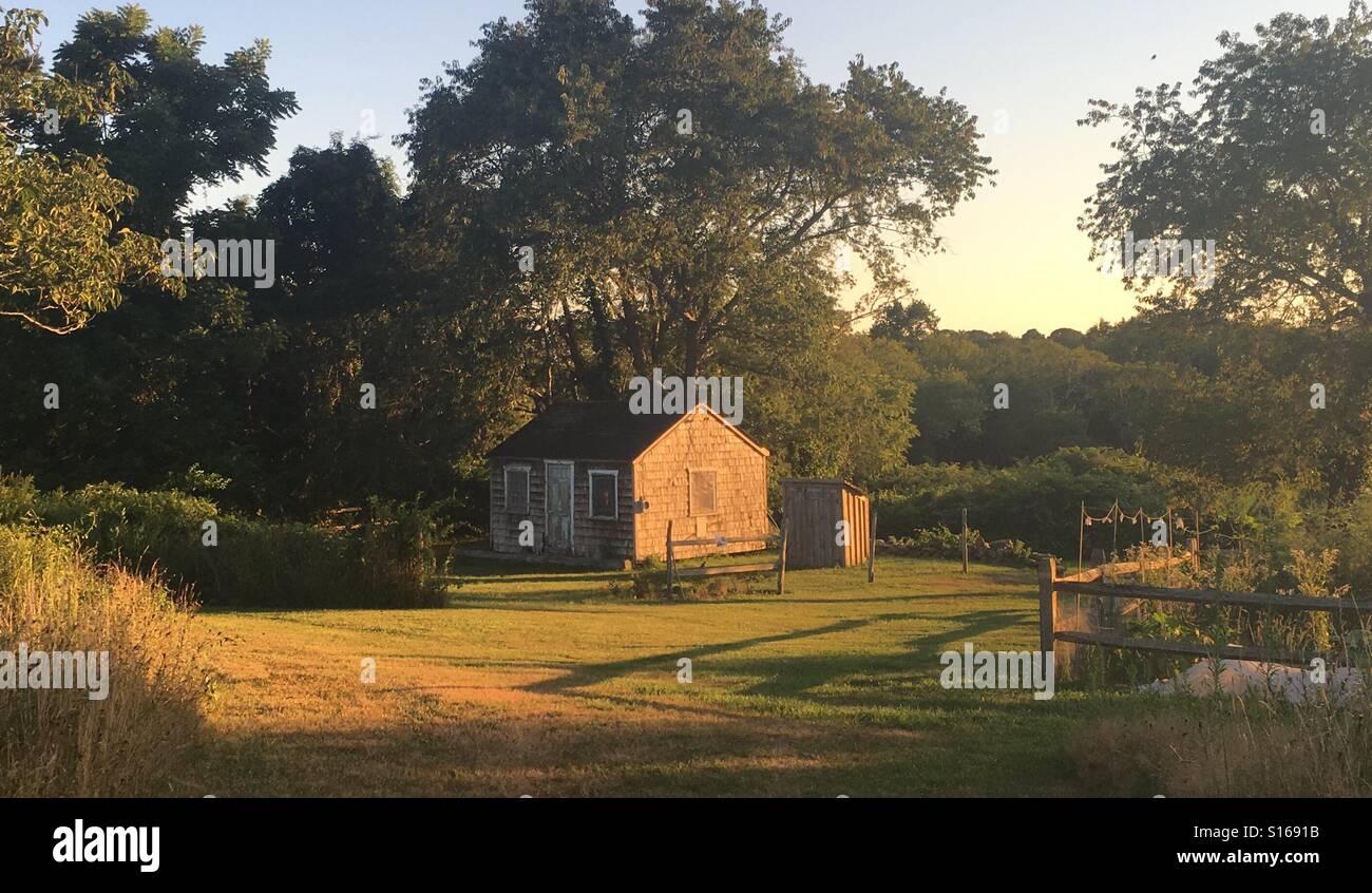 Ora d'oro nel paese Foto Stock