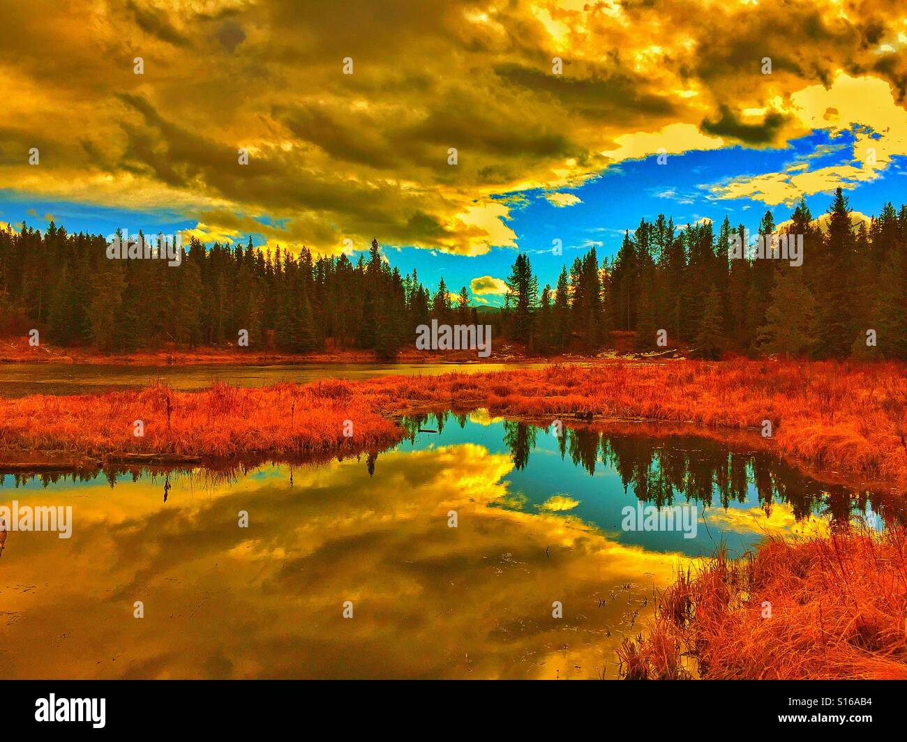 McLean riflessioni di stagno - Immagine stock catturata con smartphone