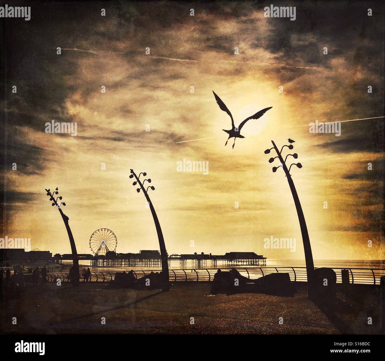 Seagull volare verso il sole sulla Promenade di Blackpool con molo centrale a distanza Foto Stock