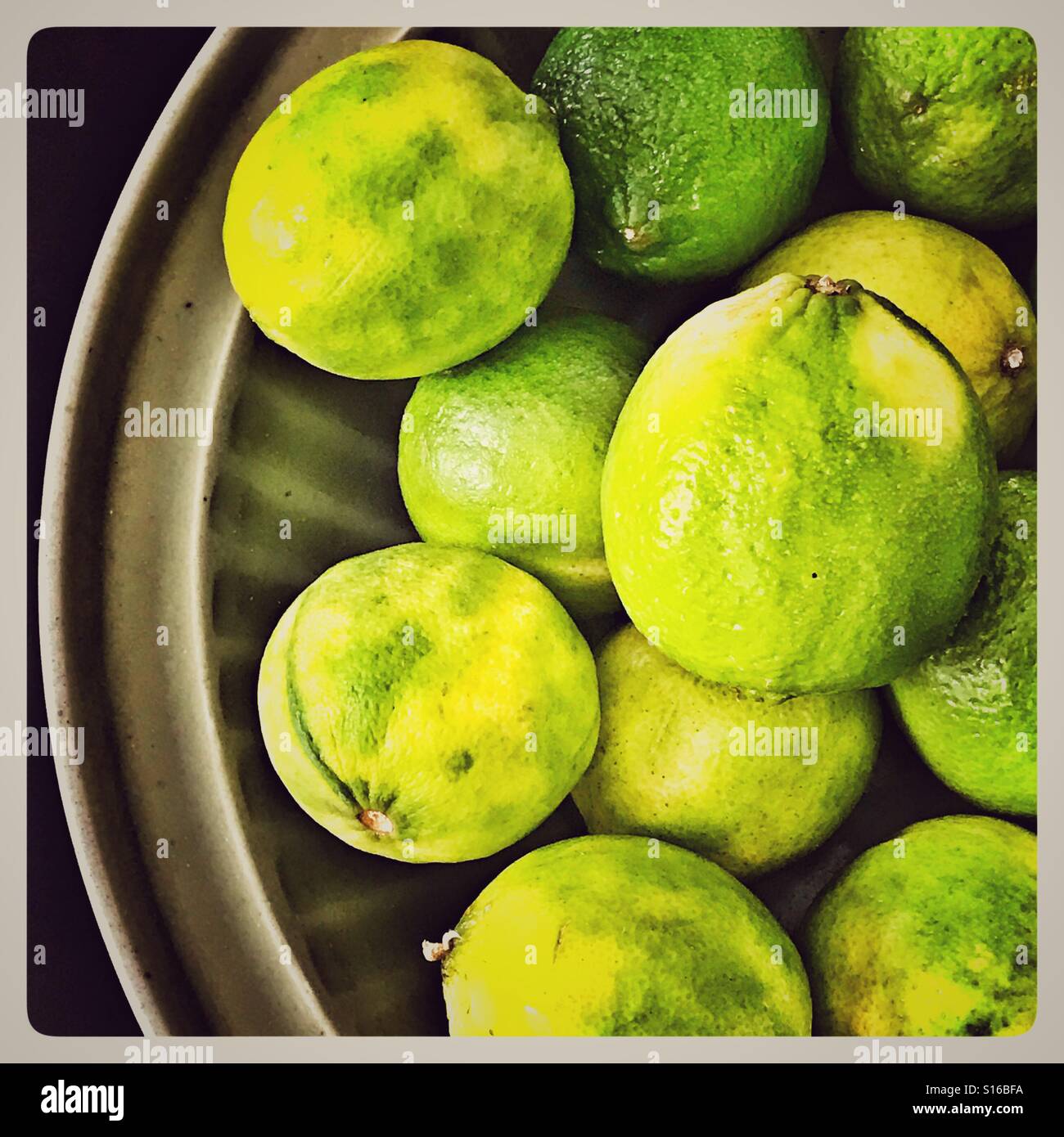 Ciotola di Limes Foto Stock