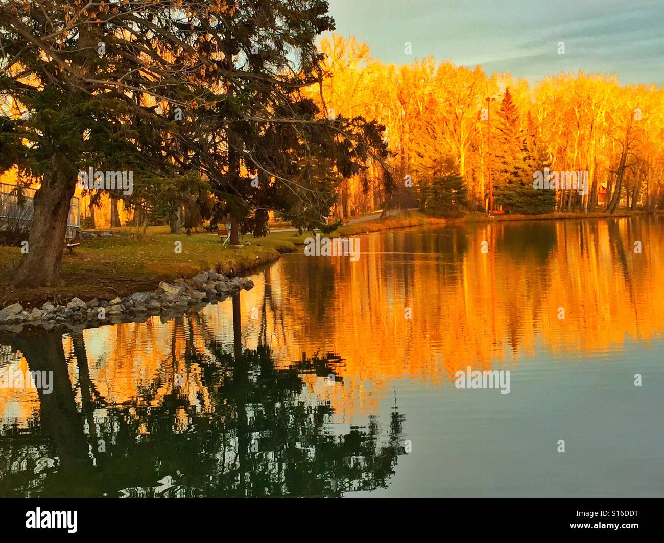 Park riflessioni al tramonto - Immagine stock catturata con smartphone