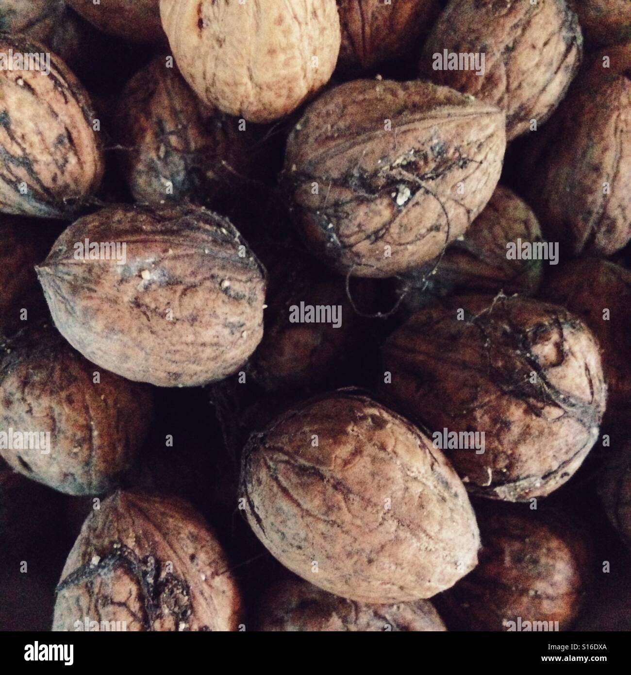 Homegrown noci - Immagine stock catturata con smartphone