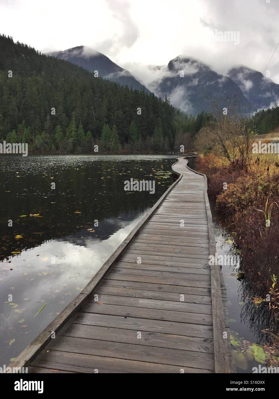 Percorso di legno dal lago nebbioso Foto Stock