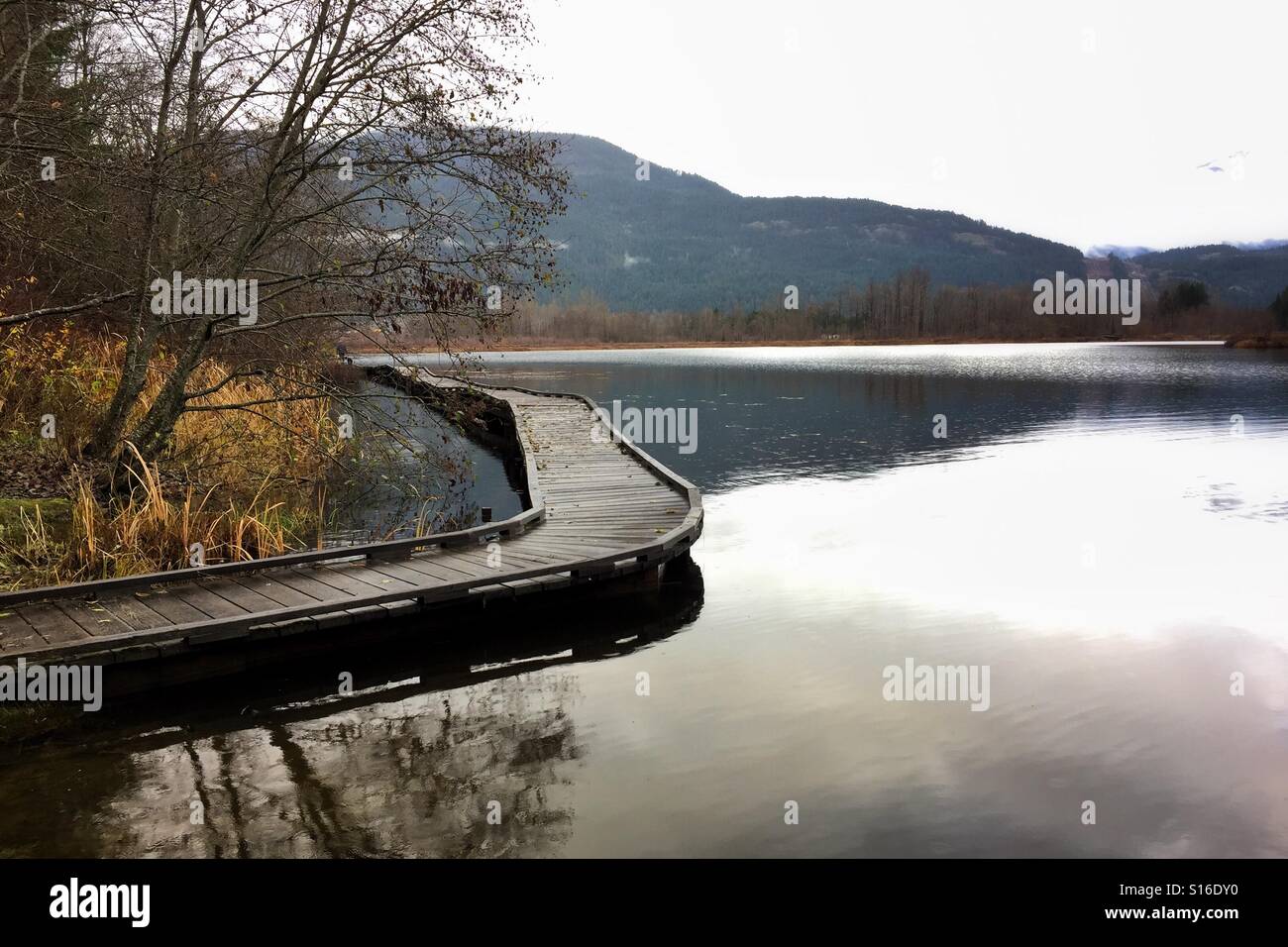 Percorso di legno dal lago nebbioso Foto Stock