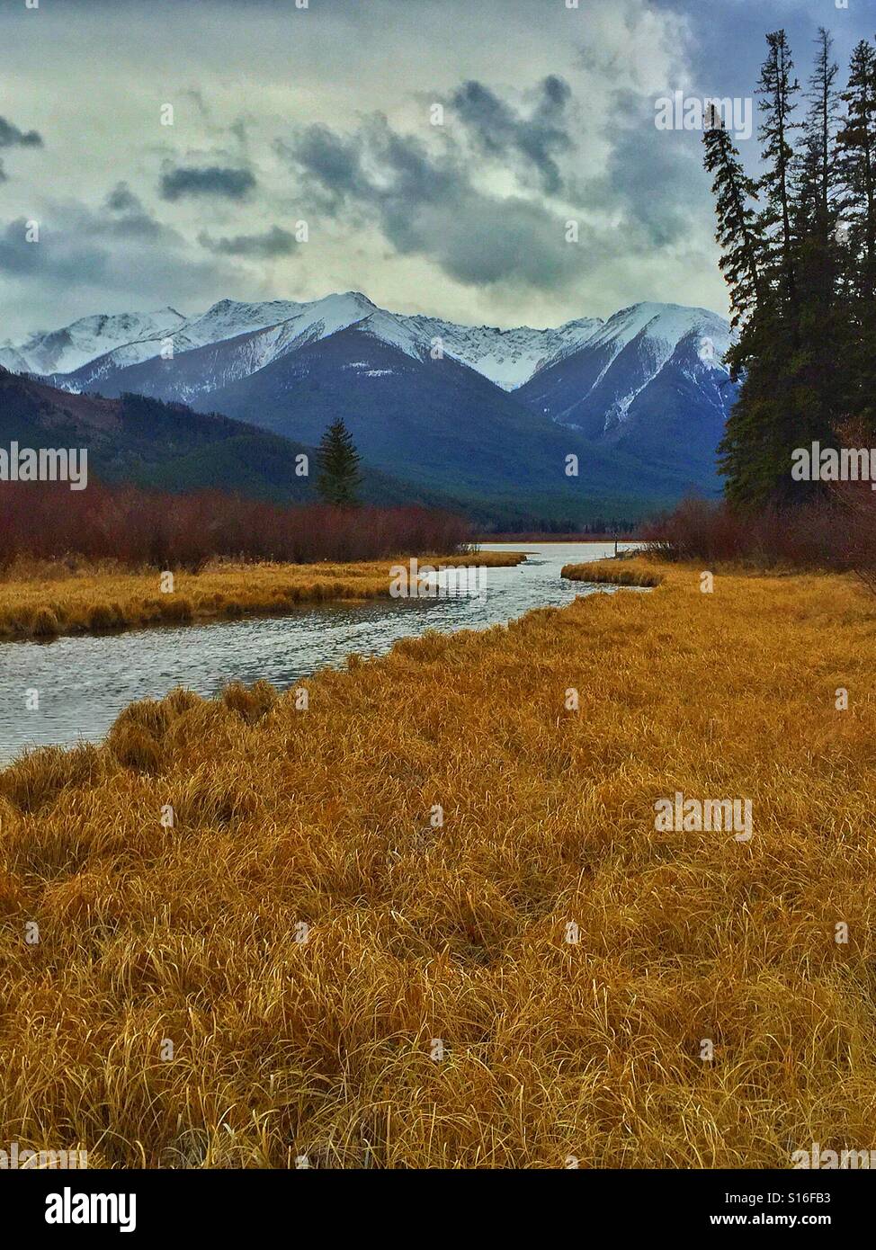 Laghi Vermillion e nelle Montagne Rocciose Canadesi, il Parco Nazionale di Banff, Albert , Canada Foto Stock