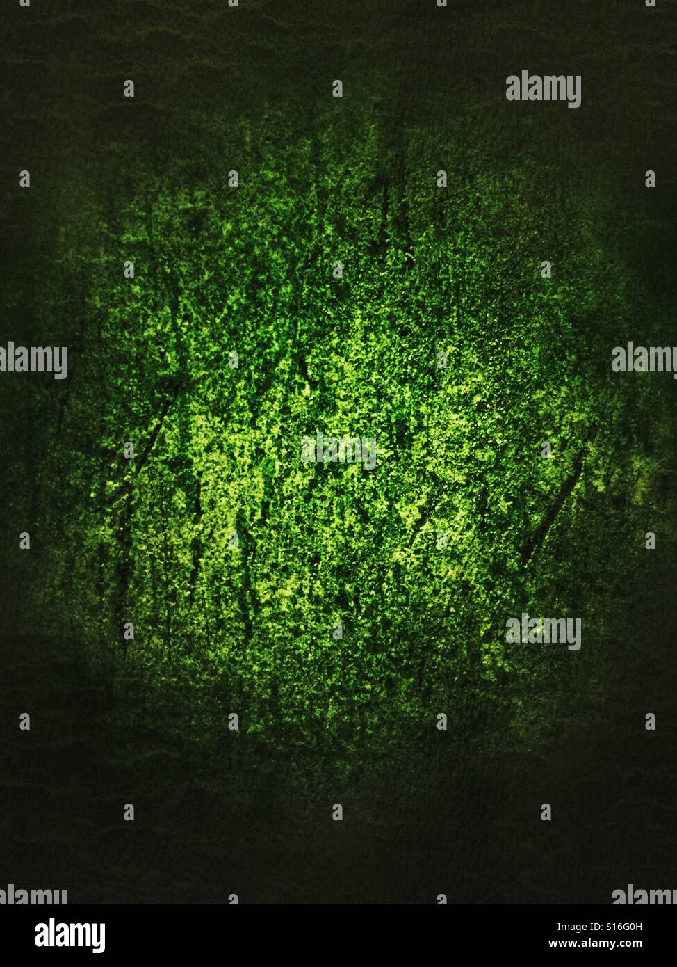 Parete verde Foto Stock