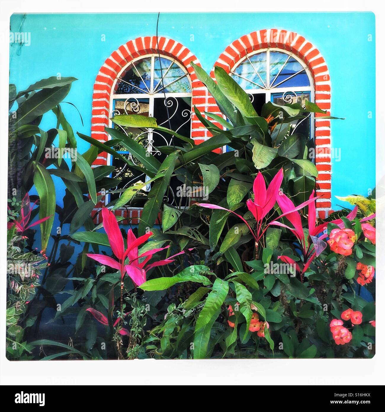 Windows affascinante e colorato paesaggio aggiungi marciapiede appello a questa casa nelle zone rurali del Messico. Foto Stock