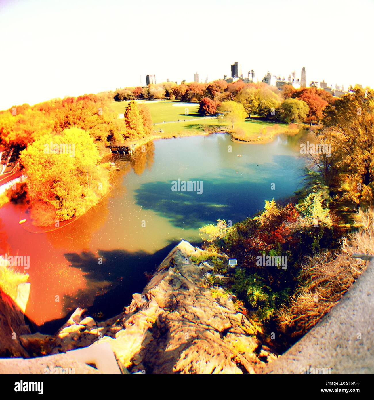 Obiettivo Fisheye vista del grande prato e lo stagno delle tartarughe a central park, new york, Stati Uniti d'America - Immagine stock catturata con smartphone