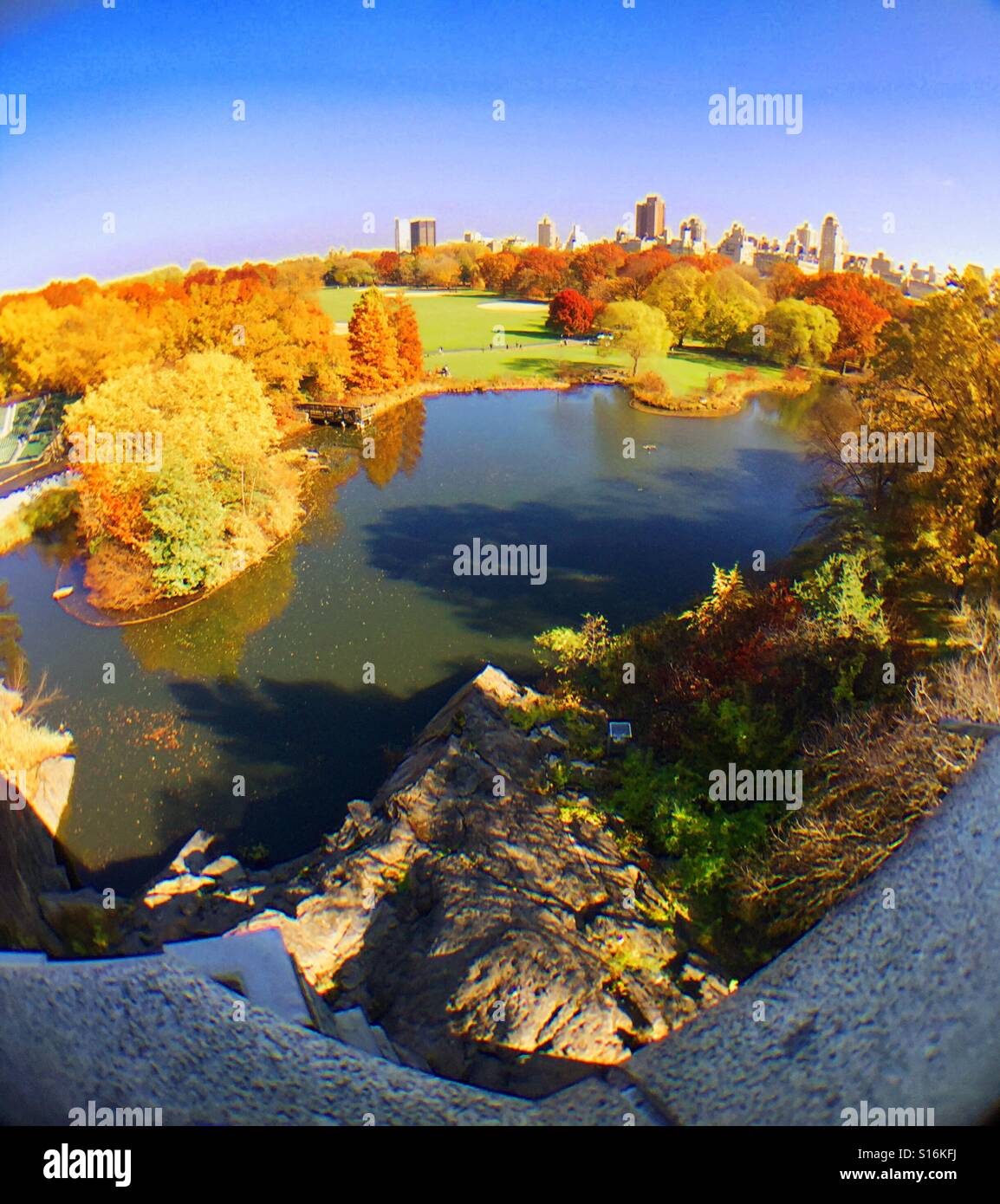 Fisheye Lindsey vista del grande uno nella Turtle pond, Central Park di New York STATI UNITI D'AMERICA - Immagine stock catturata con smartphone