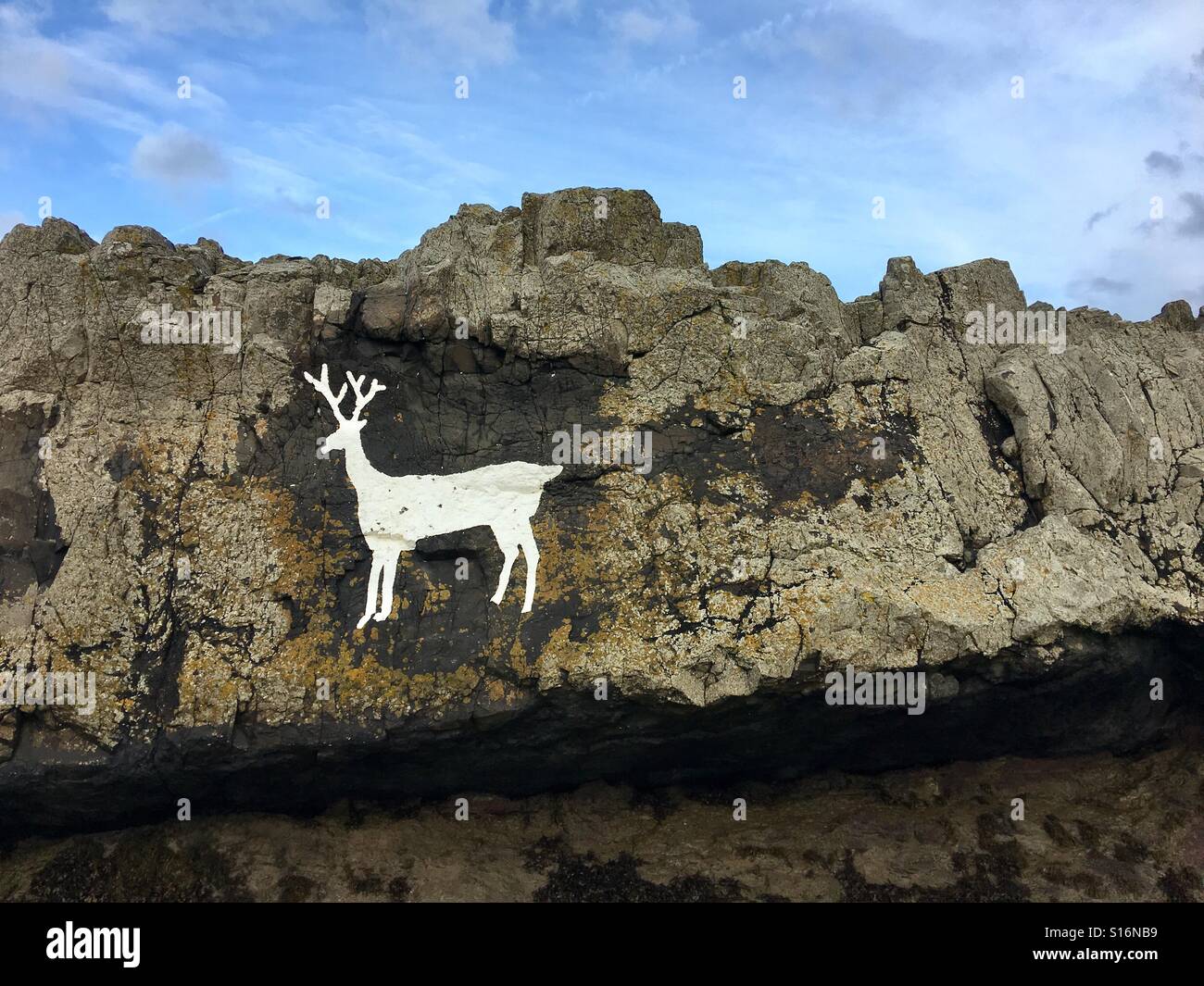 Feste di addio al celibato rock, Bamburgh - bianco stag dipinta sulla parete di roccia Foto Stock