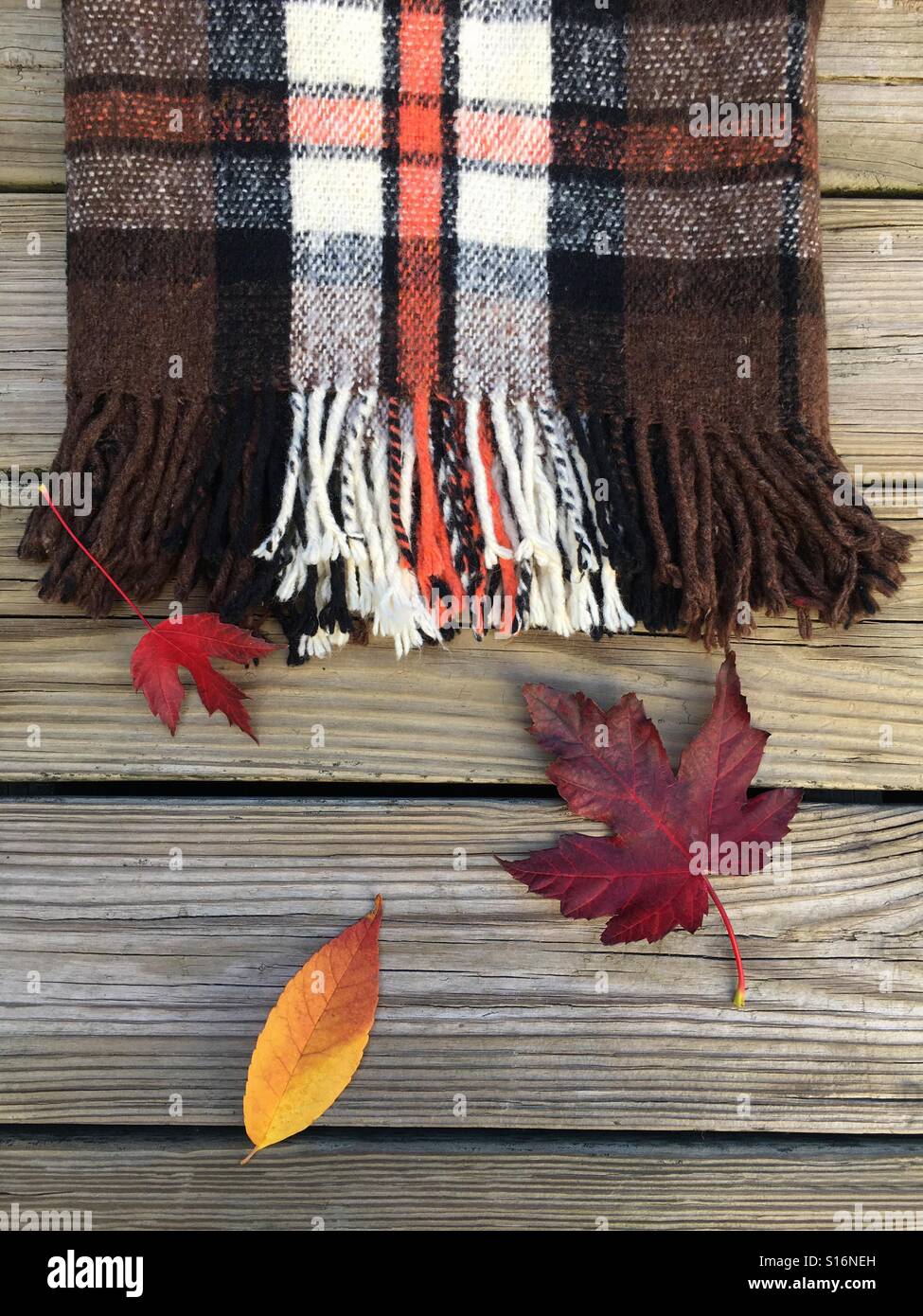 Coperta di lana con foglie con sfondo di legno Foto Stock