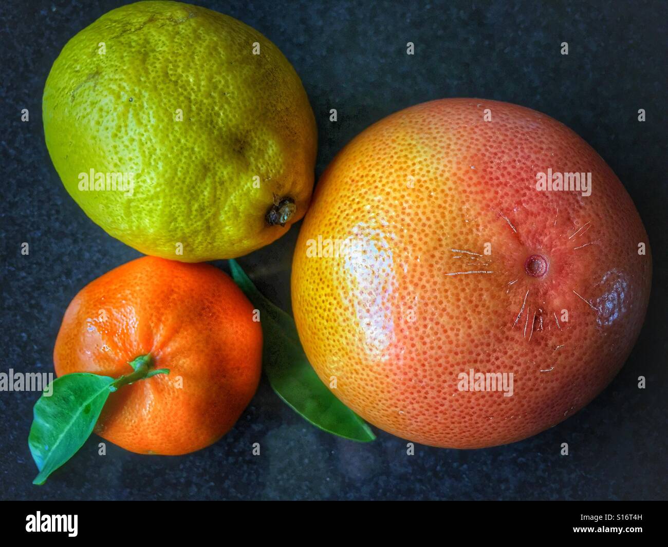 Agrumi. Clementina arancio, limone e pompelmo rubino - Immagine stock catturata con smartphone