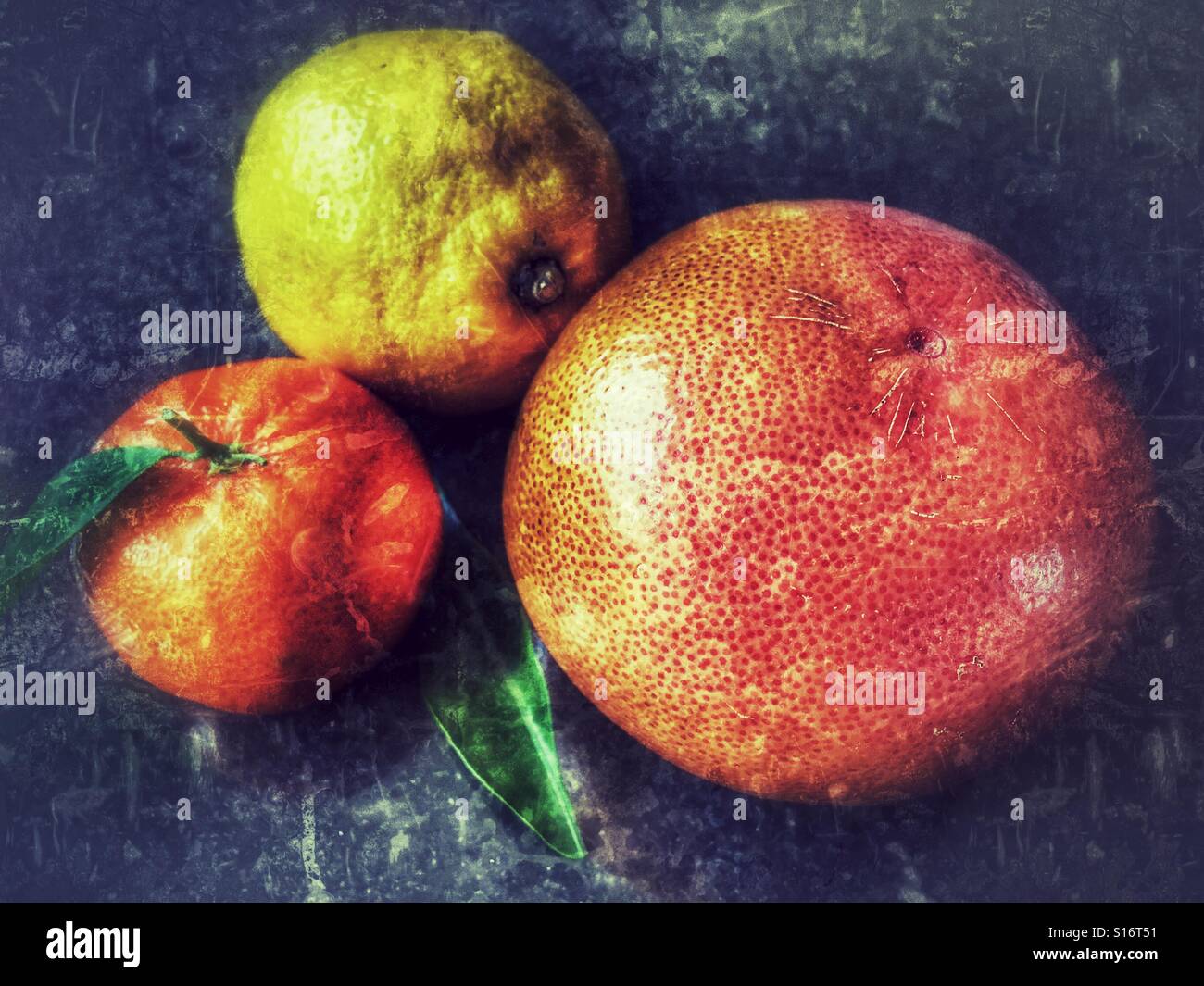 Assortimento di agrumi, clementina arancio, limone e pompelmo rubino - Immagine stock catturata con smartphone