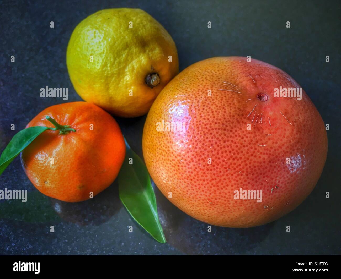 Clementina arancio, limone e pompelmo rubino - Immagine stock catturata con smartphone