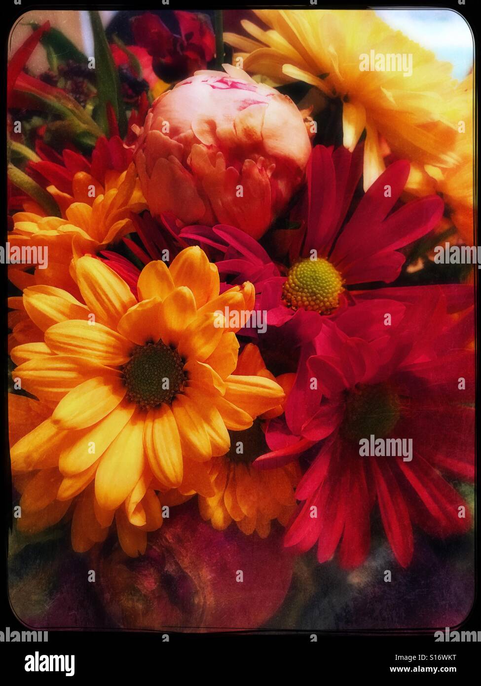 Autunno bouquet di fiori - Immagine stock catturata con smartphone