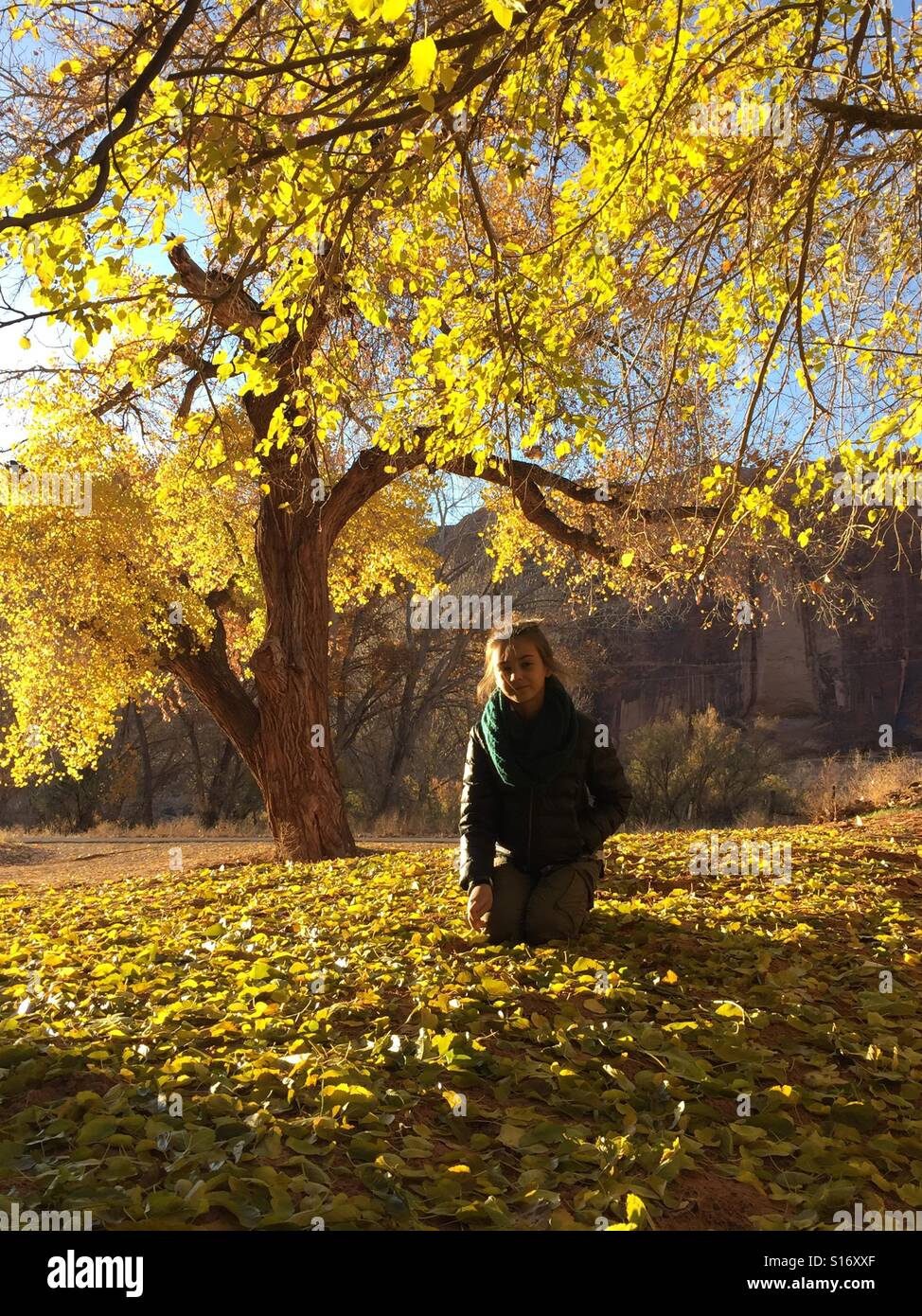 Una giovane ragazza che indossa uno smeraldo infinito sciarpa si siede su una pila di oro e foglie di giallo sotto un albero. Foto Stock
