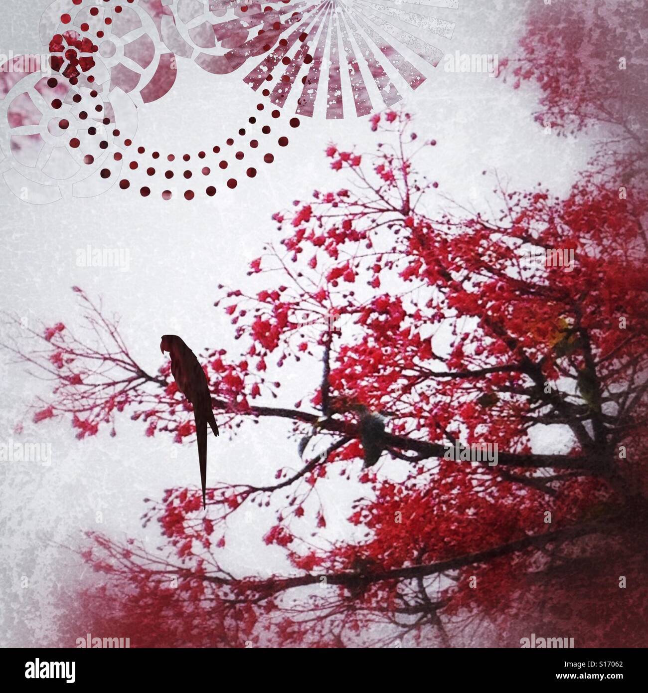 Crimson Bloom, iPhone foto, filtro grigio effetto grunge e stencil modifica grafica di un albero nel mio punto di vista Foto Stock