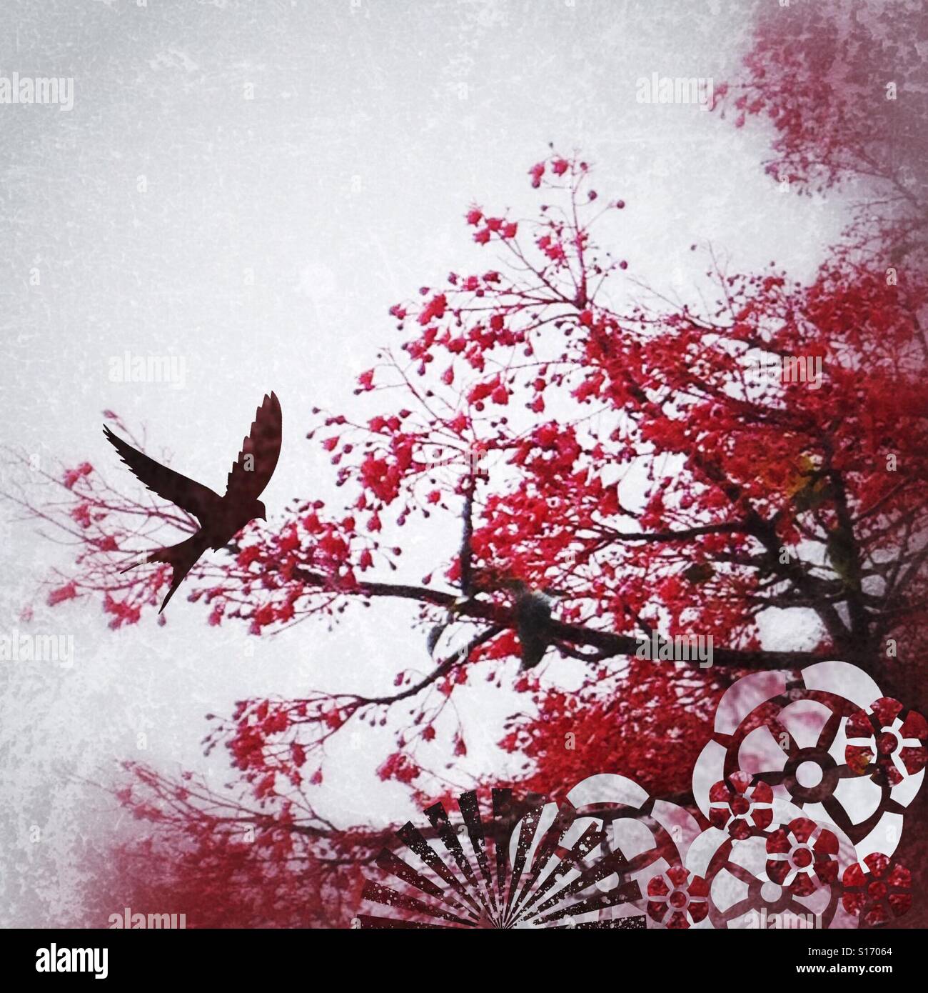 Crimson Bloom, (2) iPhone foto, filtro grigio effetto grunge e stencil modifica grafica di un albero nel mio punto di vista Foto Stock