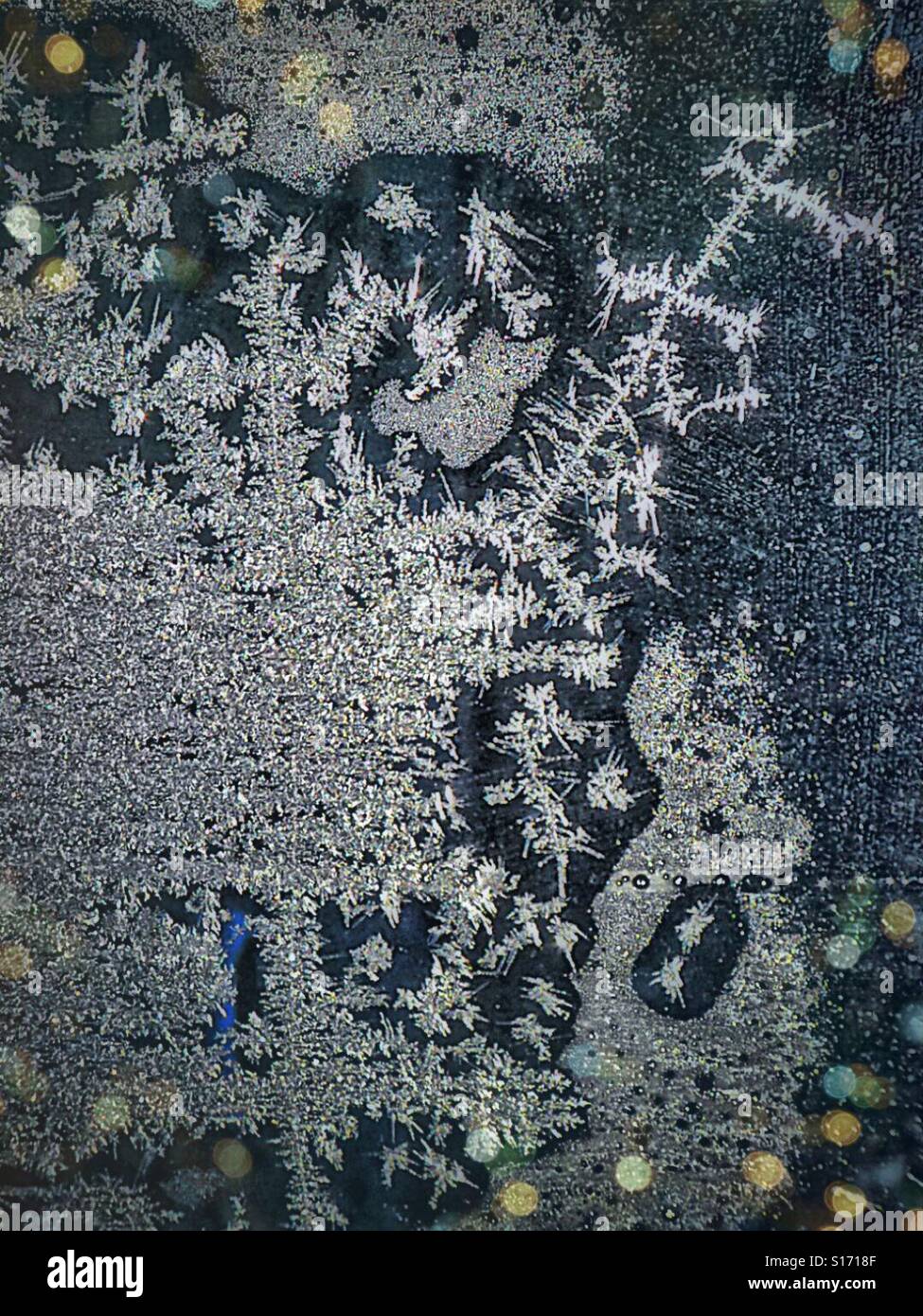 Fiori di ghiaccio in corrispondenza della finestra. - Immagine stock catturata con smartphone