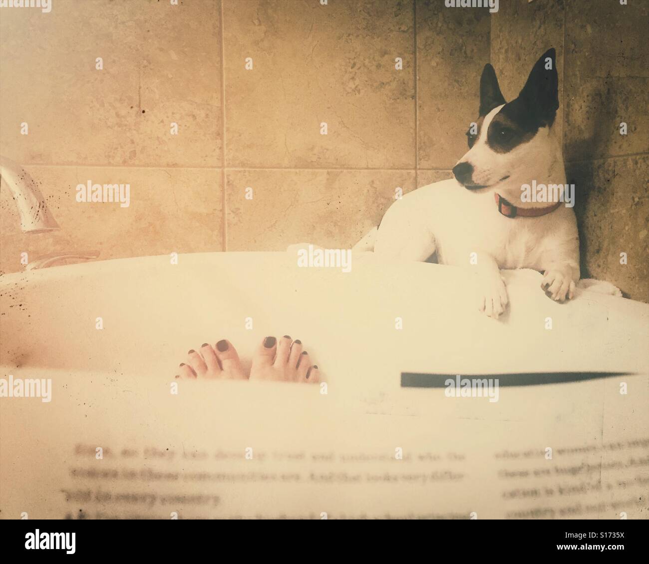 Il punto di vista di un cane che si rilassa sul bordo di una vasca da bagno mentre il suo umano fa un bagno mostrando le dita della donna accanto al cane - Immagine stock catturata con smartphone