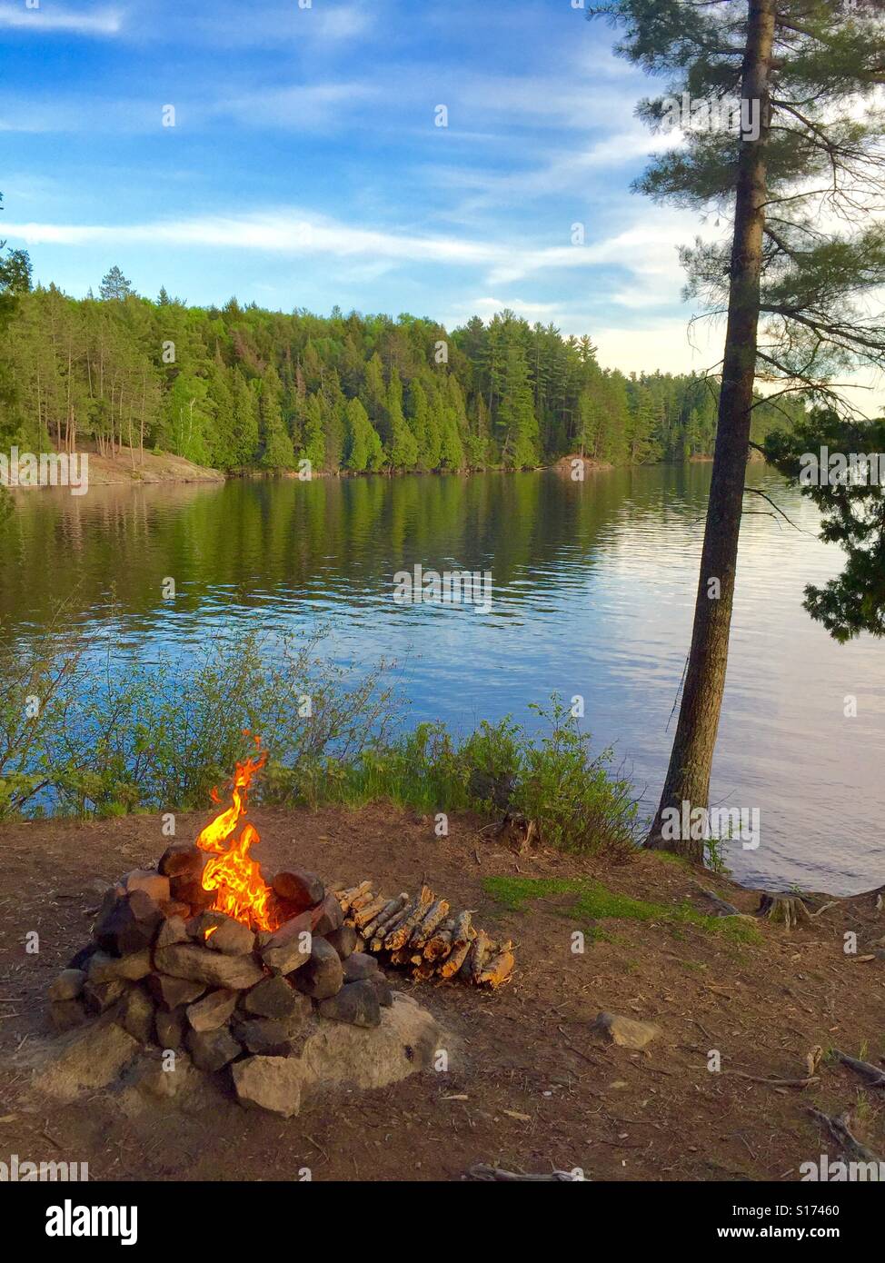 Campfire fiamme dalla foresta calmo lago Foto Stock