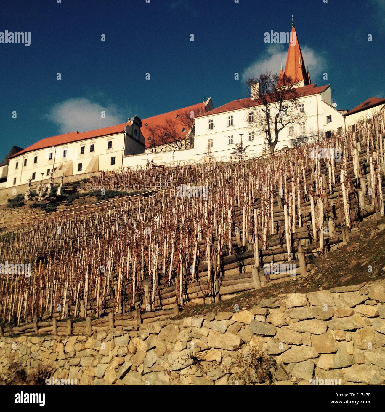 Città vecchia con vigneto di Znojmo, CZE - Immagine stock catturata con smartphone