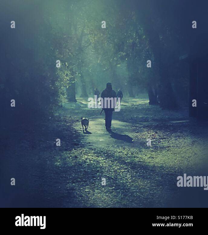 Passeggiata invernale Foto Stock