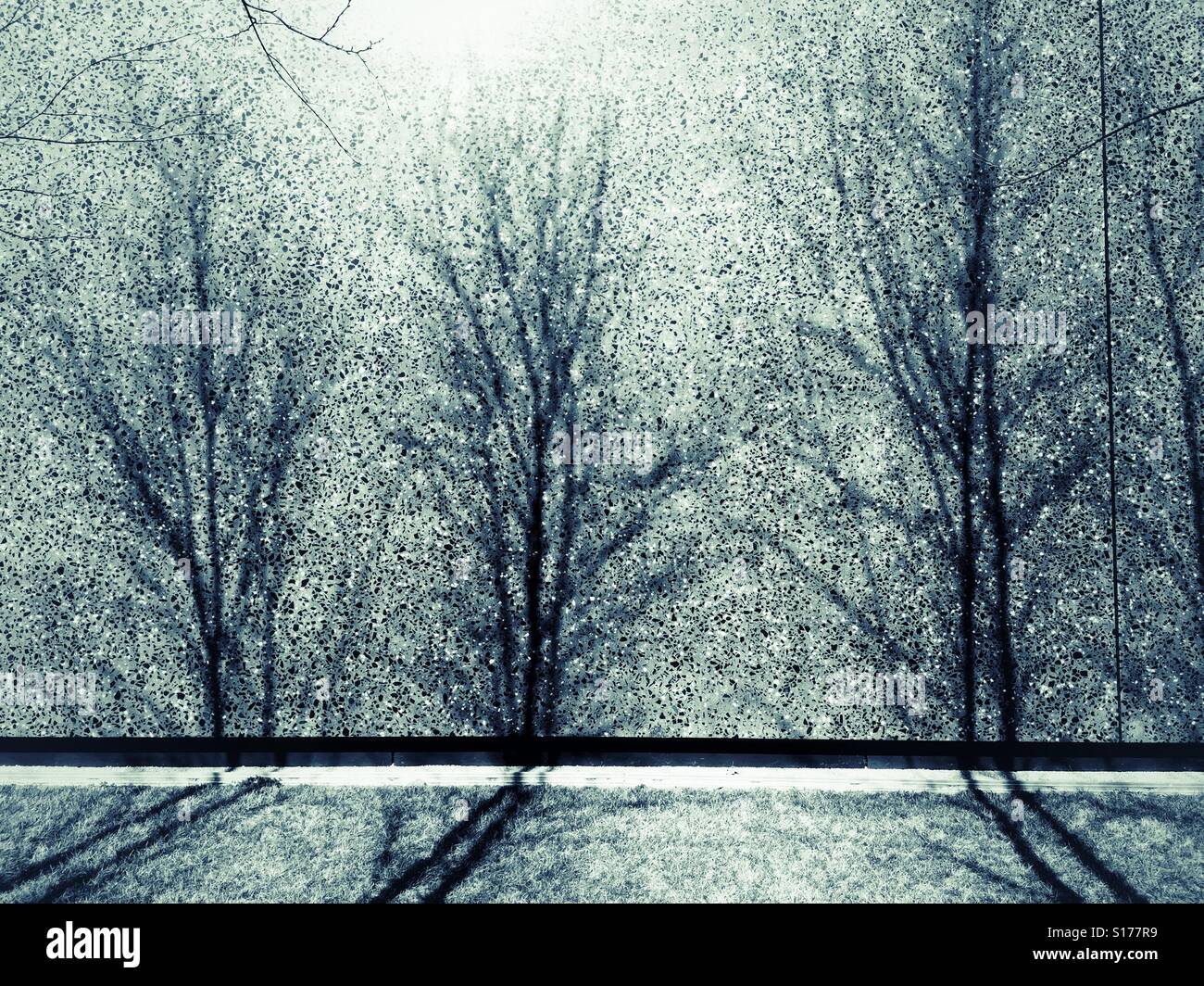 Ombre di alberi su un muro moderno. - Immagine stock catturata con smartphone