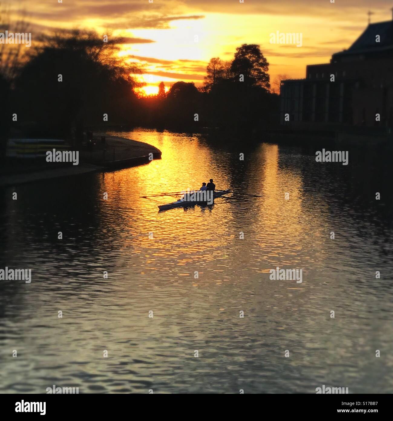 I canottieri sul fiume Avon al tramonto. Stratford upon Avon Foto Stock