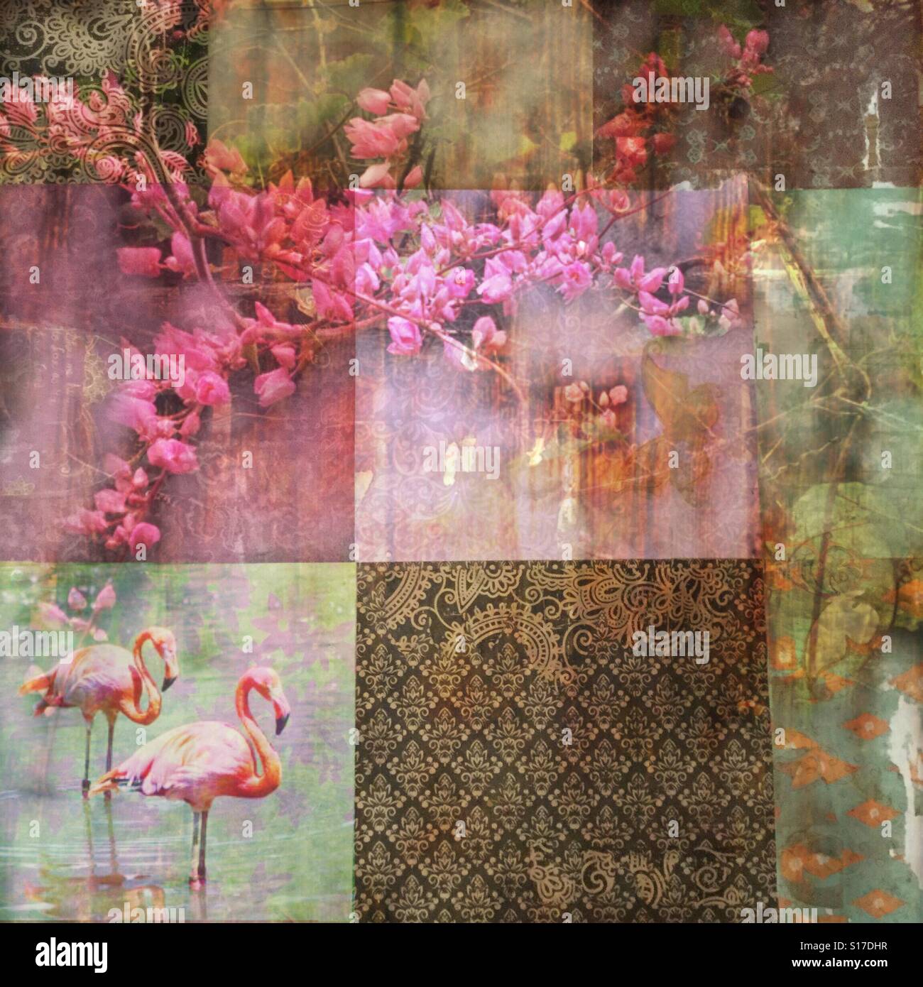 Boho Fantasy, Flamingo vigne, iPhone photo collage e gli effetti, patch dei modelli di lavoro, vitigni rosa fenicottero e illusione Foto Stock
