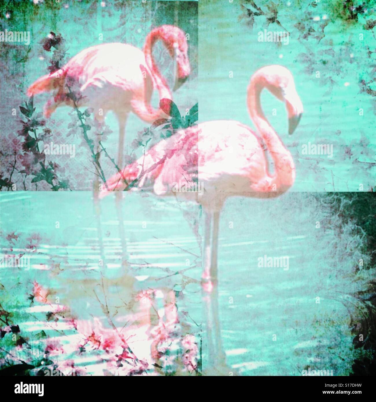 Flamingo Fantasy, iPhone photo collage, stratificati gli effetti fotografici, vigne, flamingo coppia, stile Boho Foto Stock