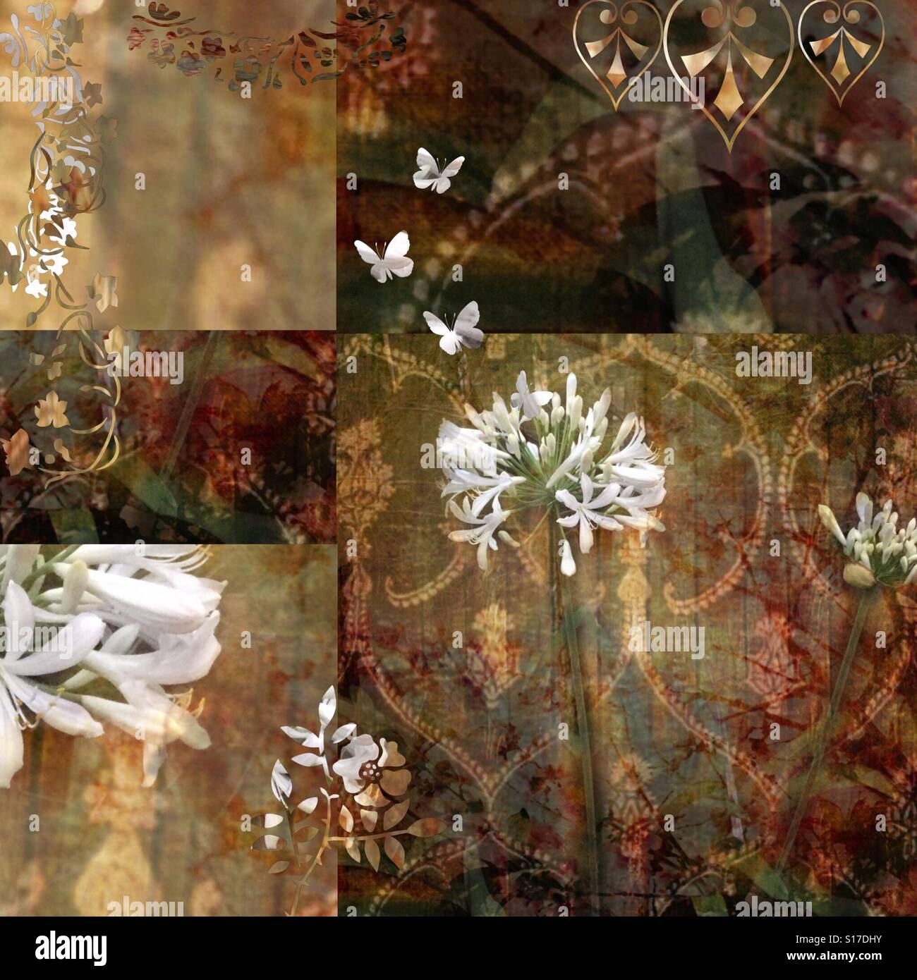 Boho Fantasy, iPhone foto, floreali, a farfalla e a trama effetti modellato Foto Stock